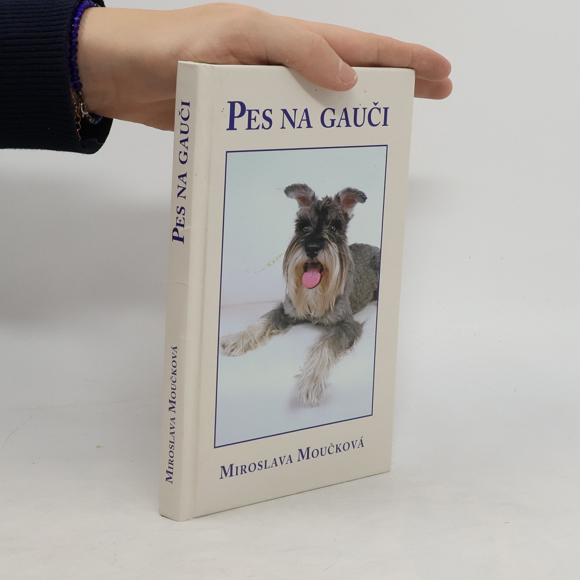 Miroslava Moučková Pes na gauči