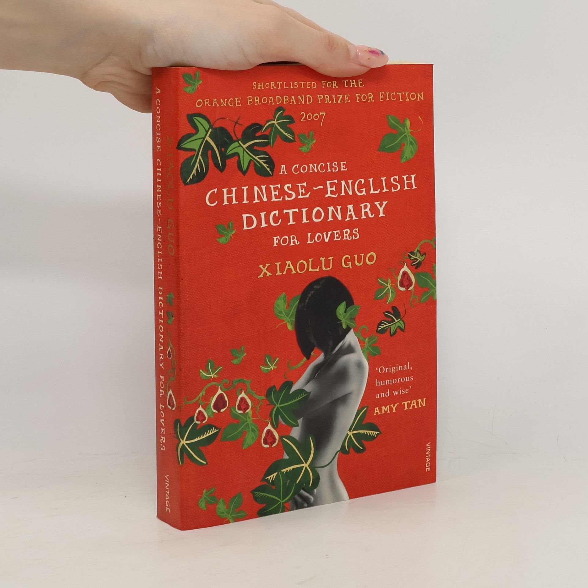 Xiaolu Guo A Concise Chinese-English Dictionary for Lovers