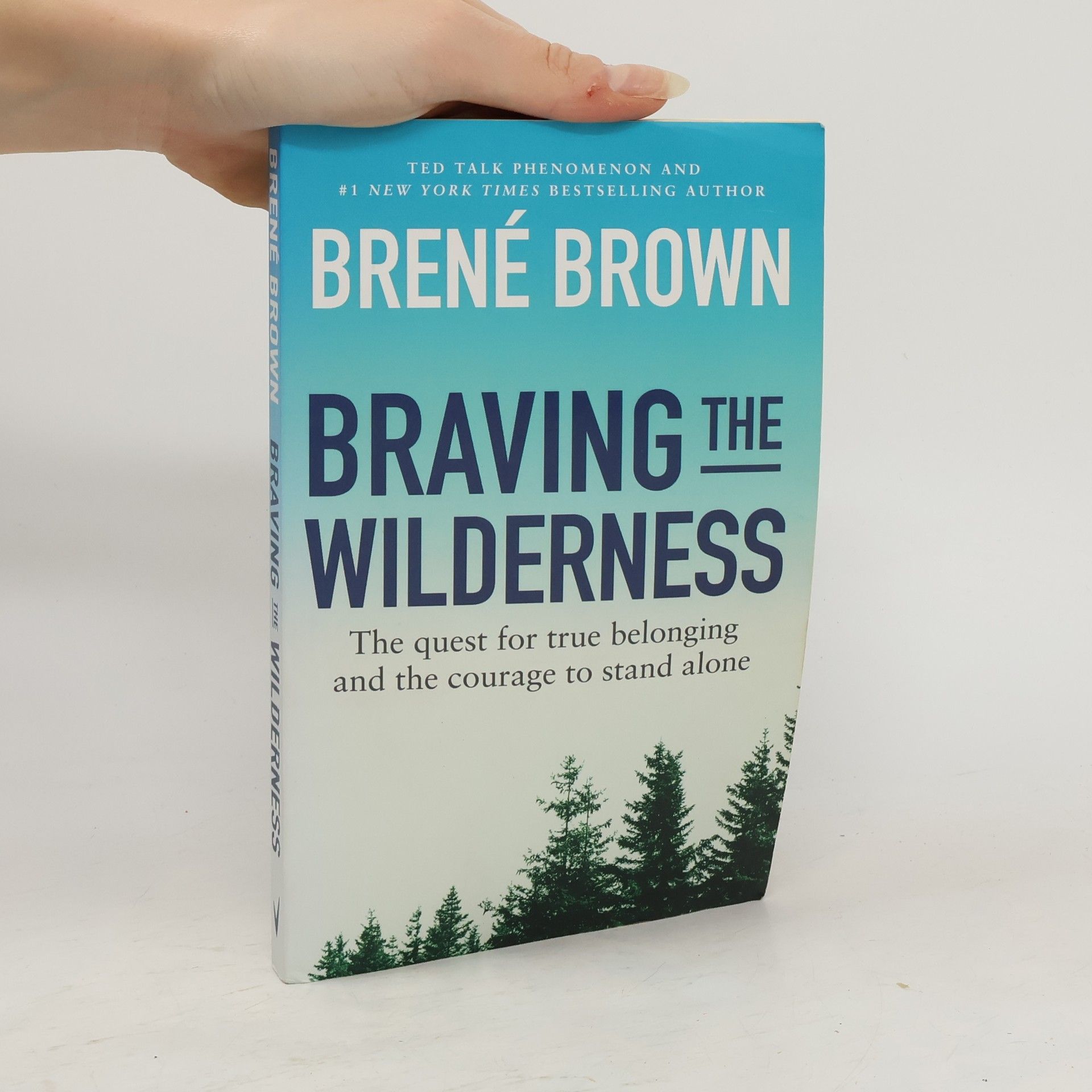 Brené Brown Braving the Wilderness