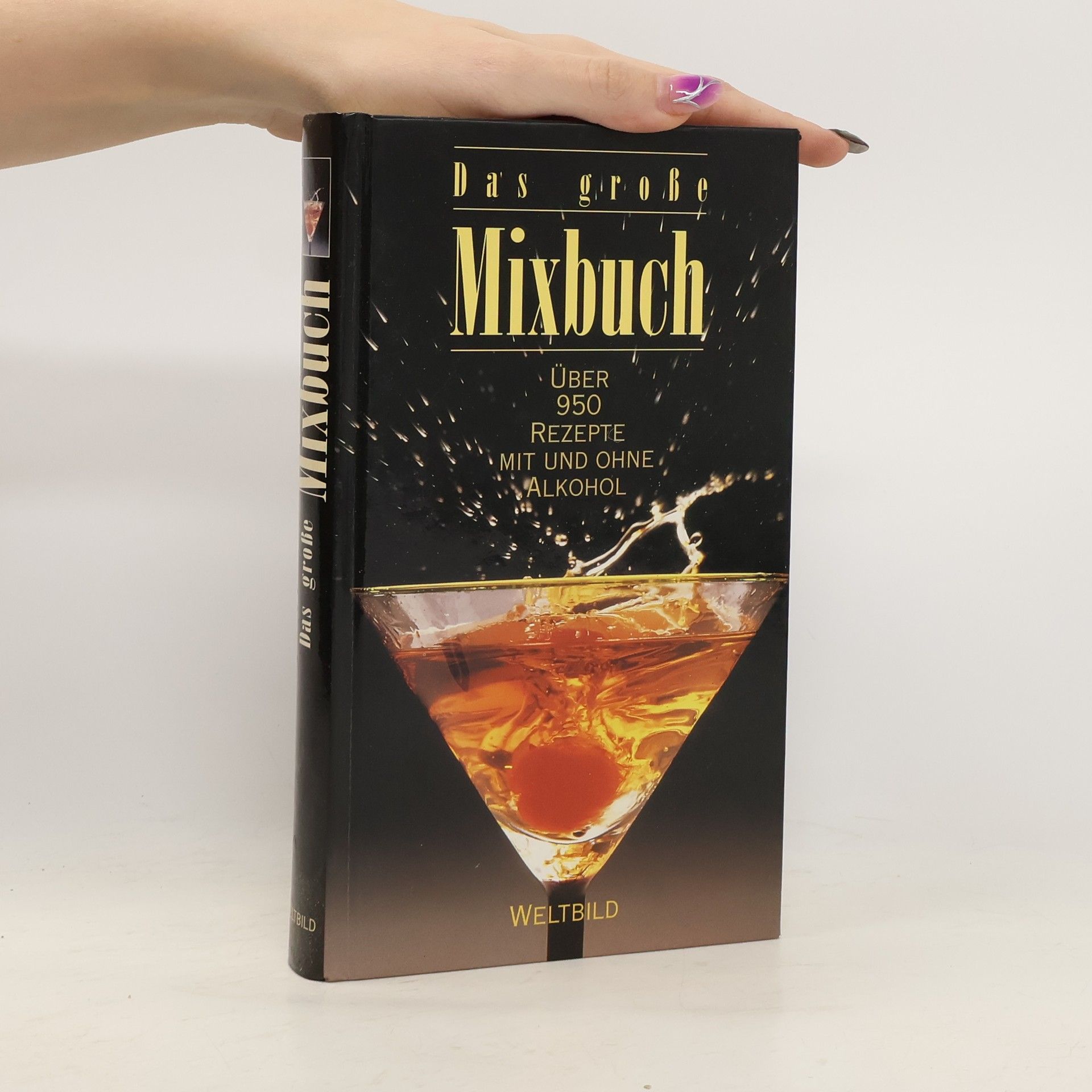 Auteurscollectief Das grosse Mixbuch