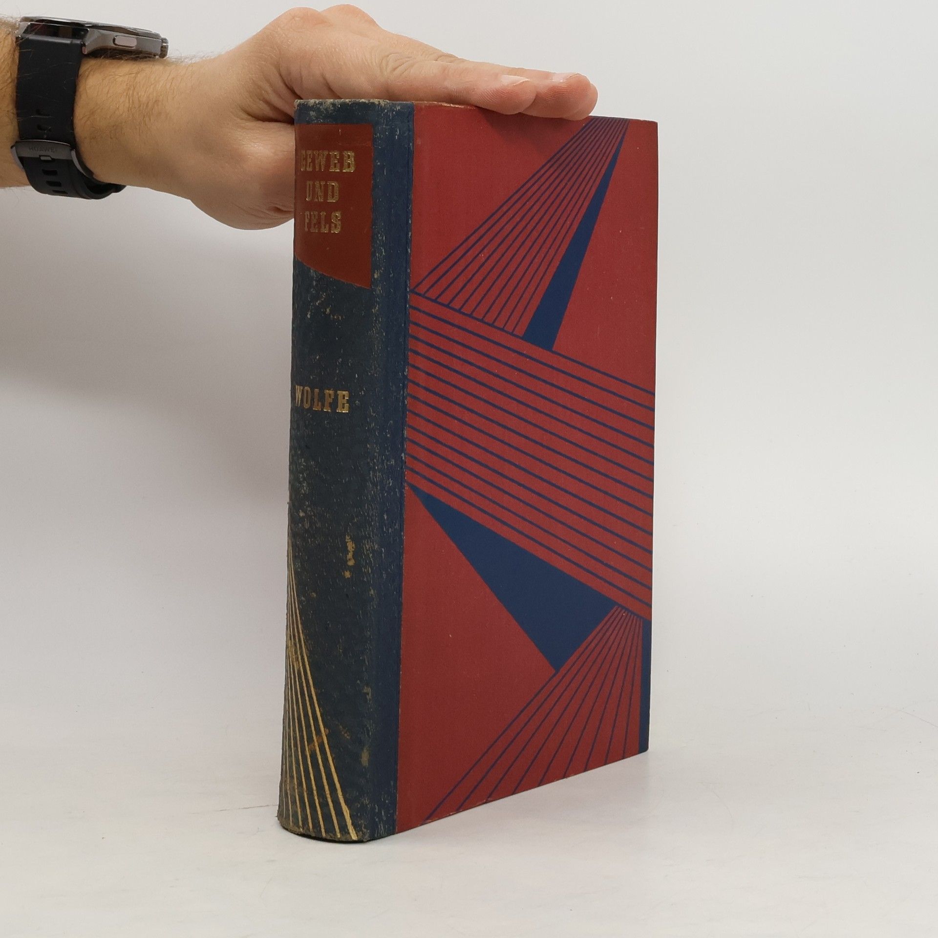 Thomas Wolfe Geweb und Fels