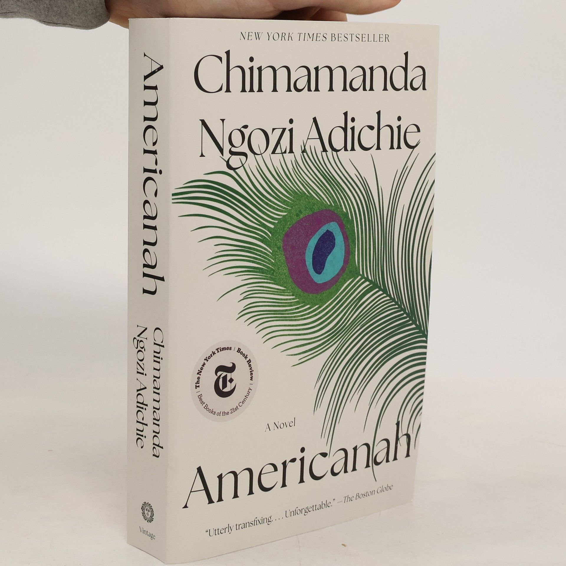 Chimamanda Ngozi Adichie Americanah