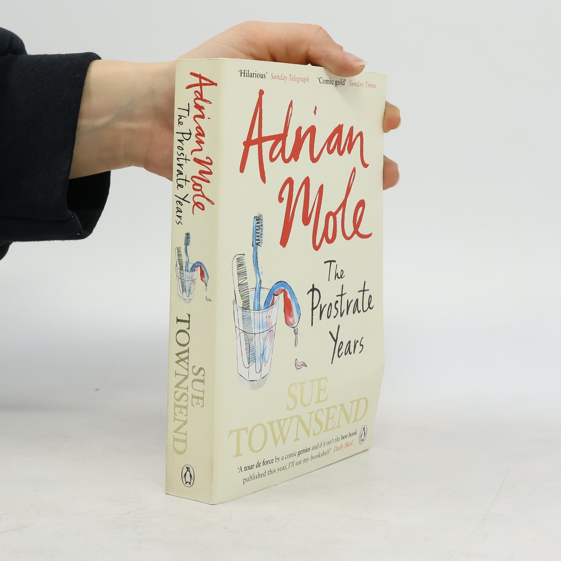 Sue Townsend Adrian Mole: The prostate years