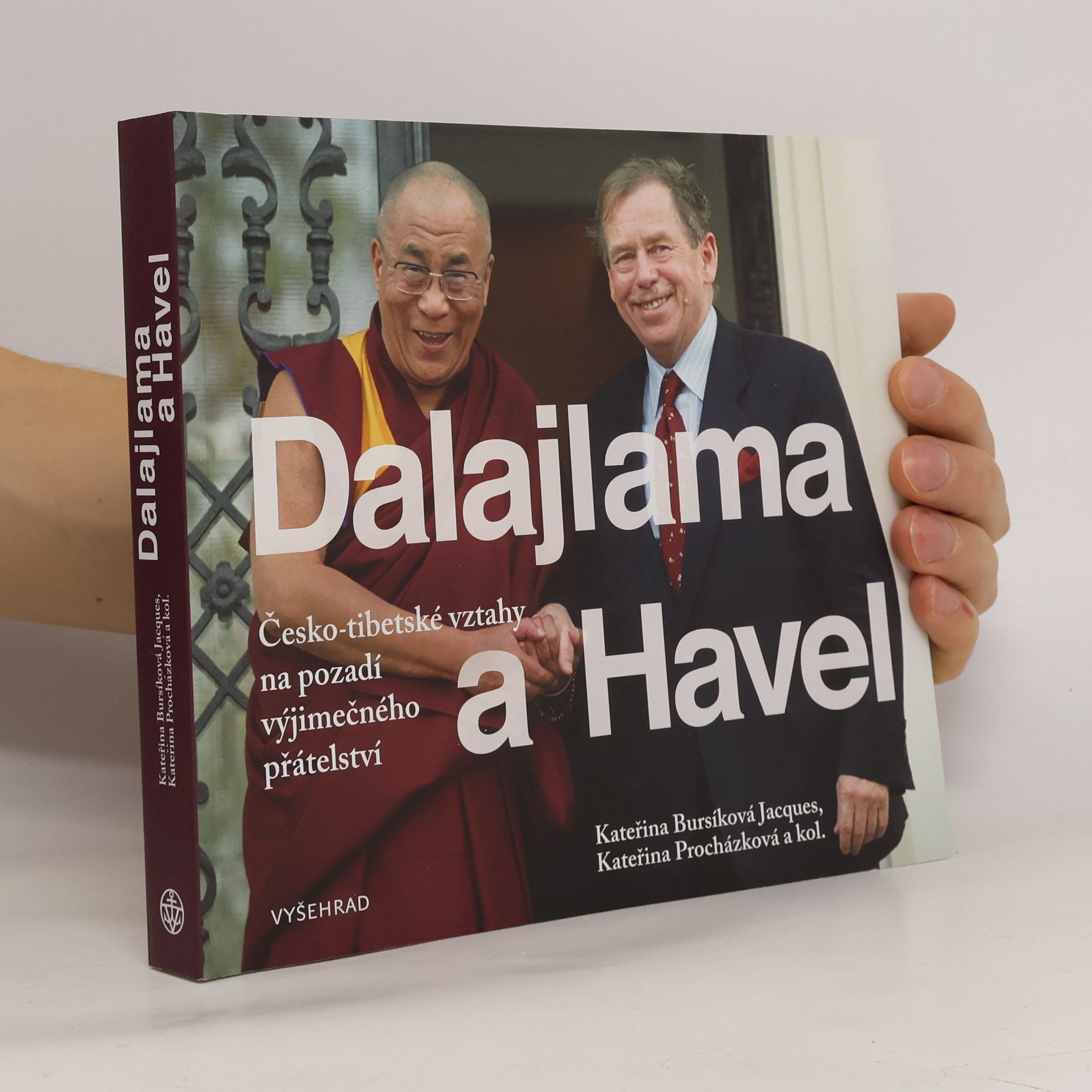 Zuzana Ondomišiová Dalajlama a Havel : česko-tibetské vztahy na pozadí výjimečného přátelství