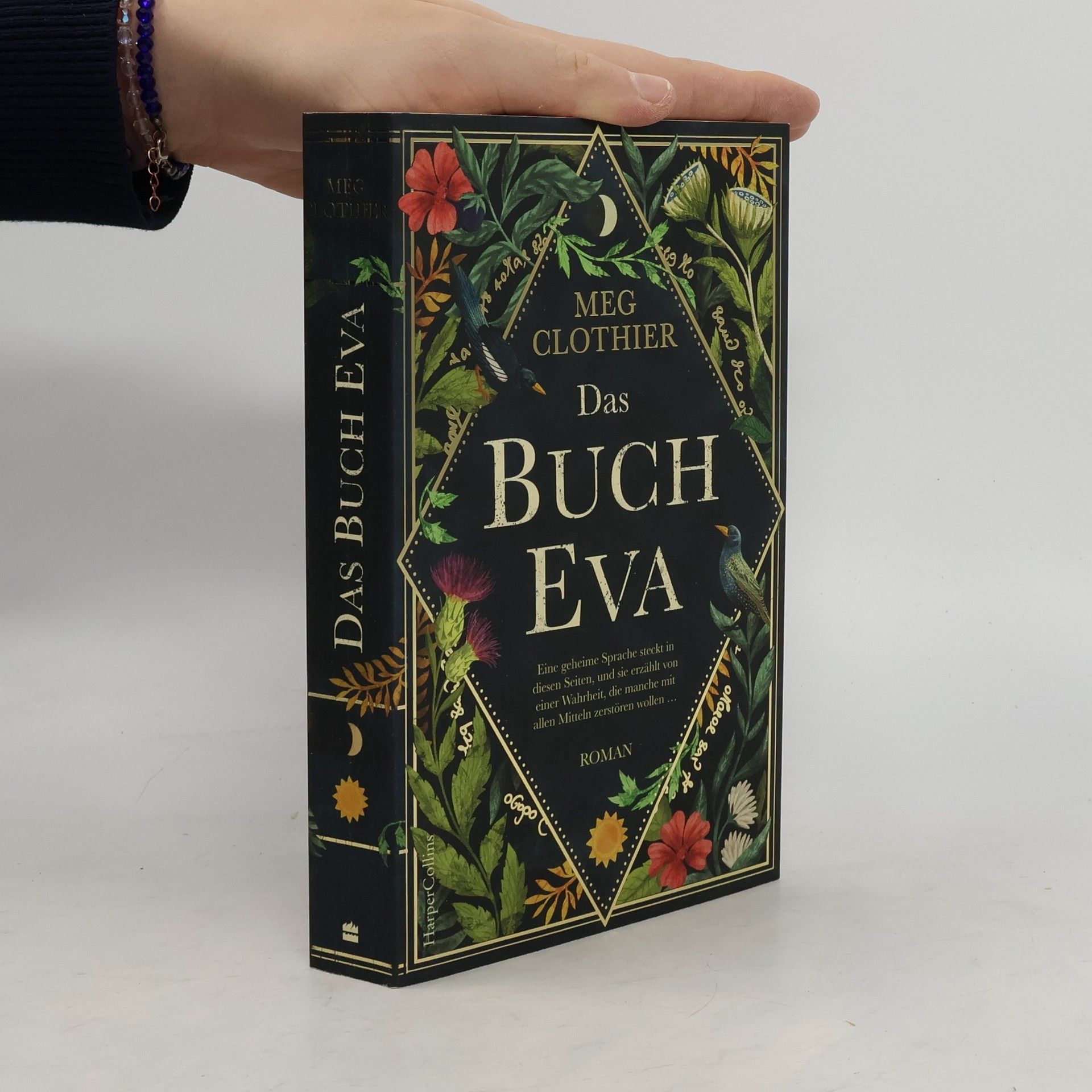 Meg Clothier Das Buch Eva