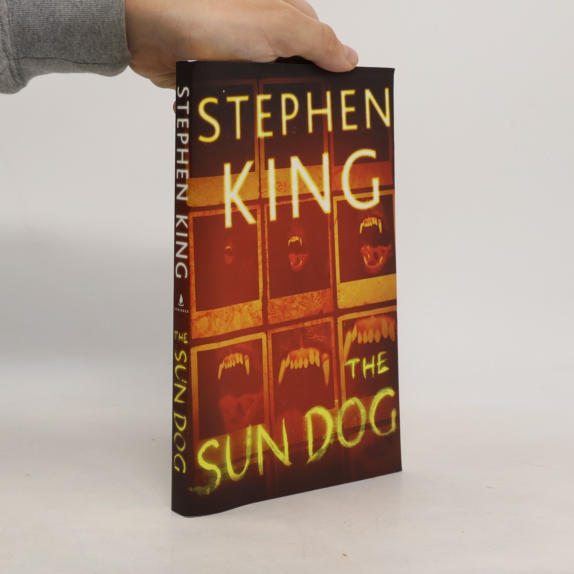 Stephen King The Sun Dog