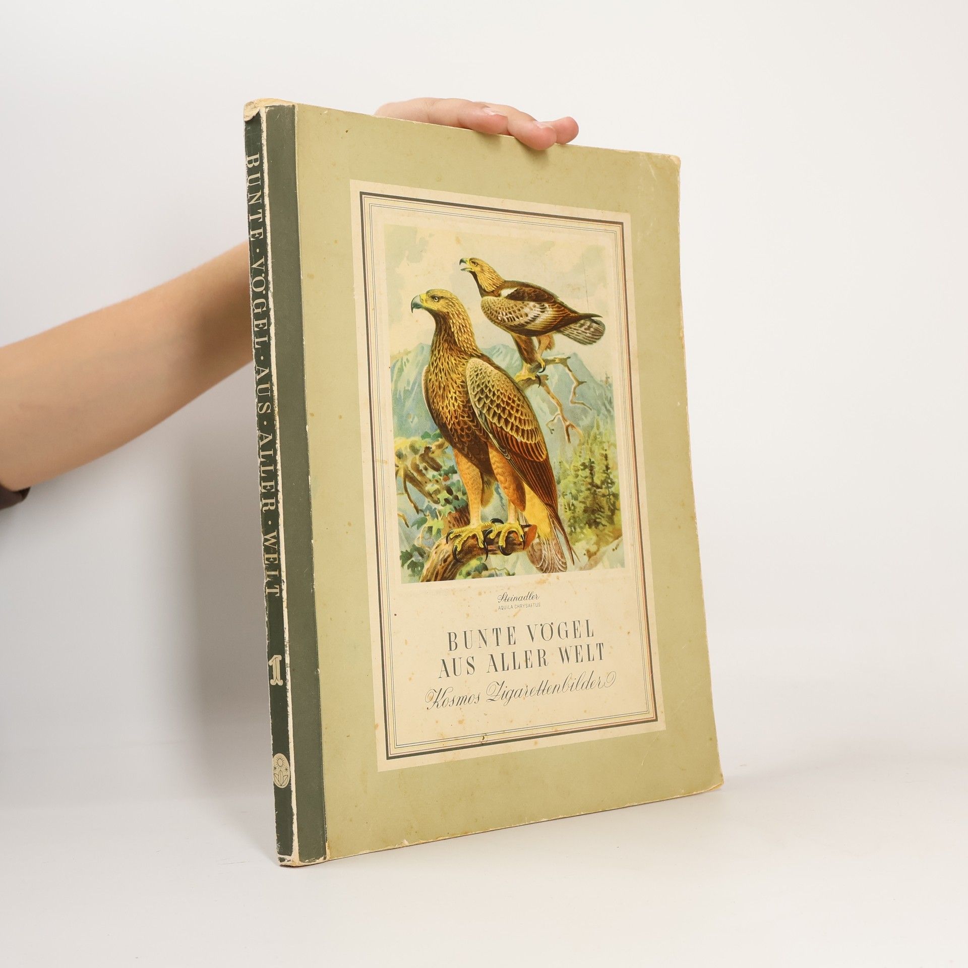 AA.VV. Bunte Vögel aus aller Welt