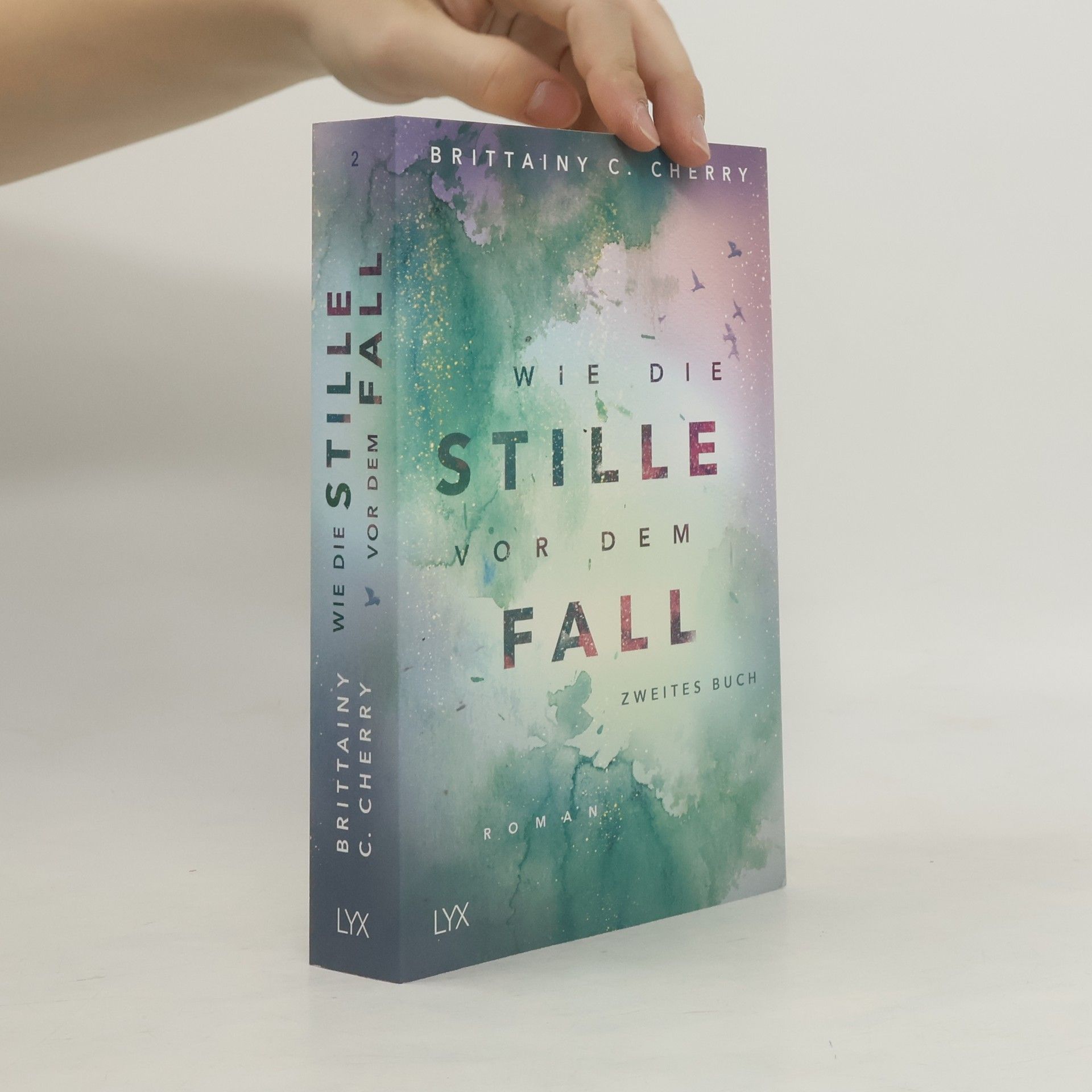 Brittainy C. Cherry Wie die Stille vor dem Fall 2