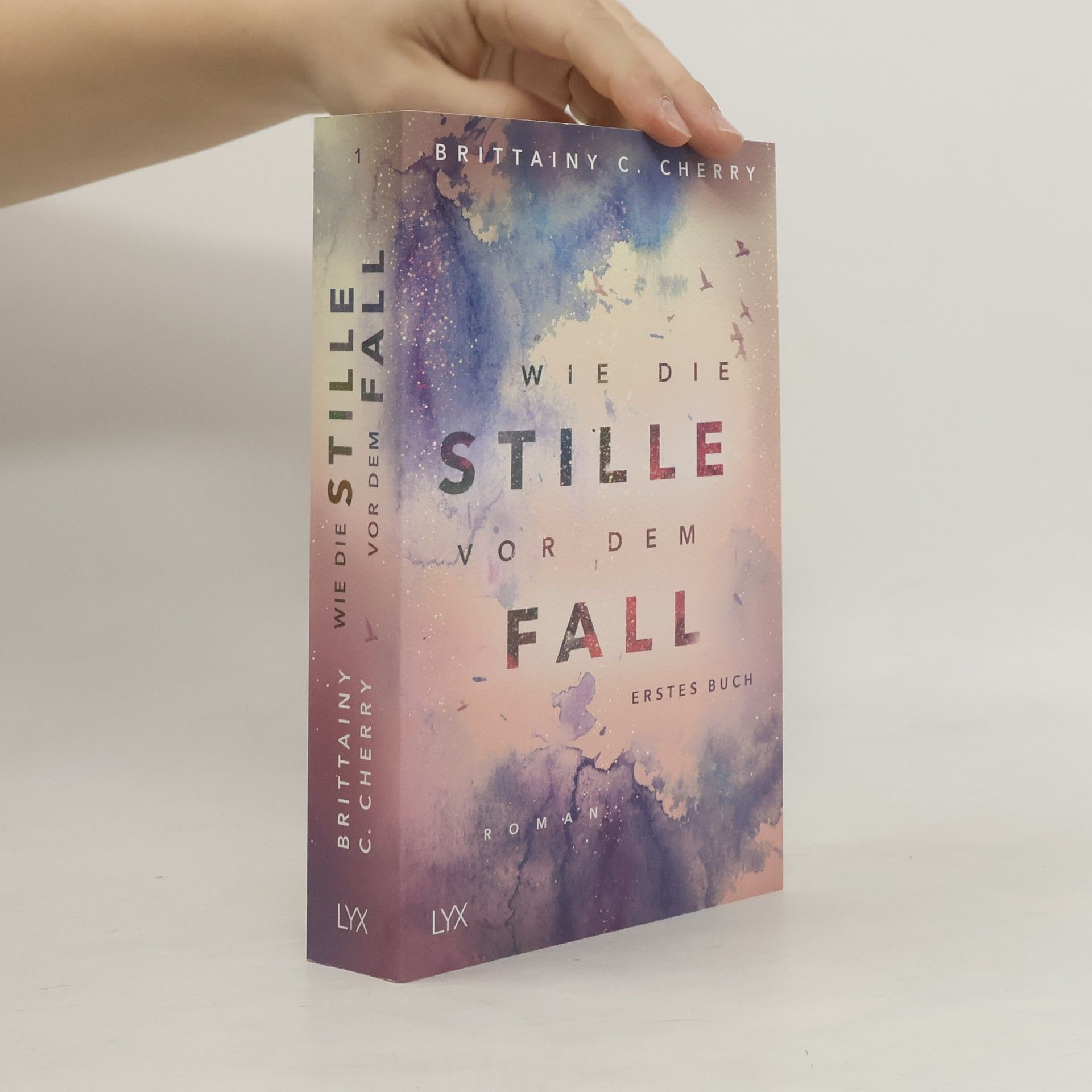 Brittainy C. Cherry Wie die Stille vor dem Fall