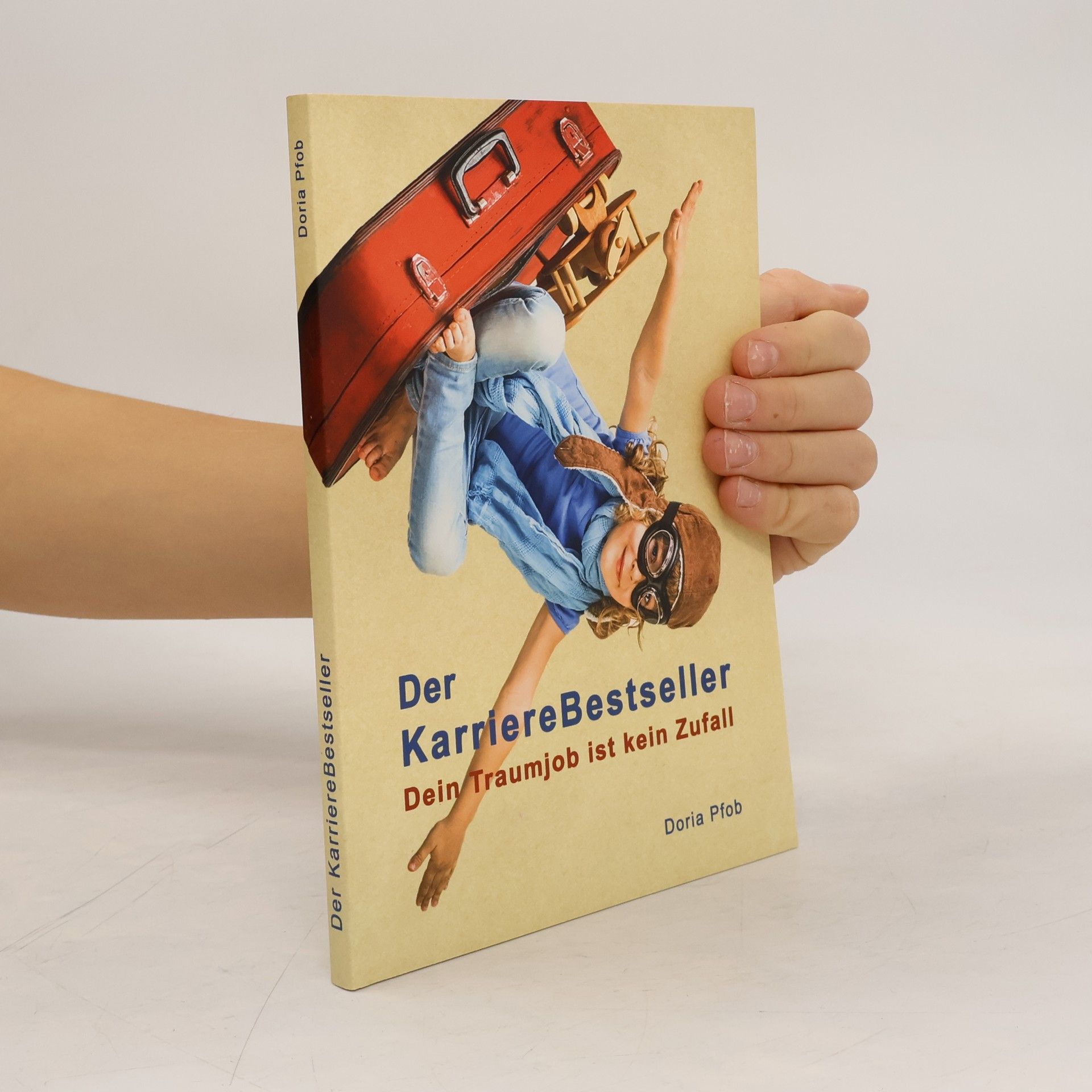 Doria Pfob Der KarriereBestseller