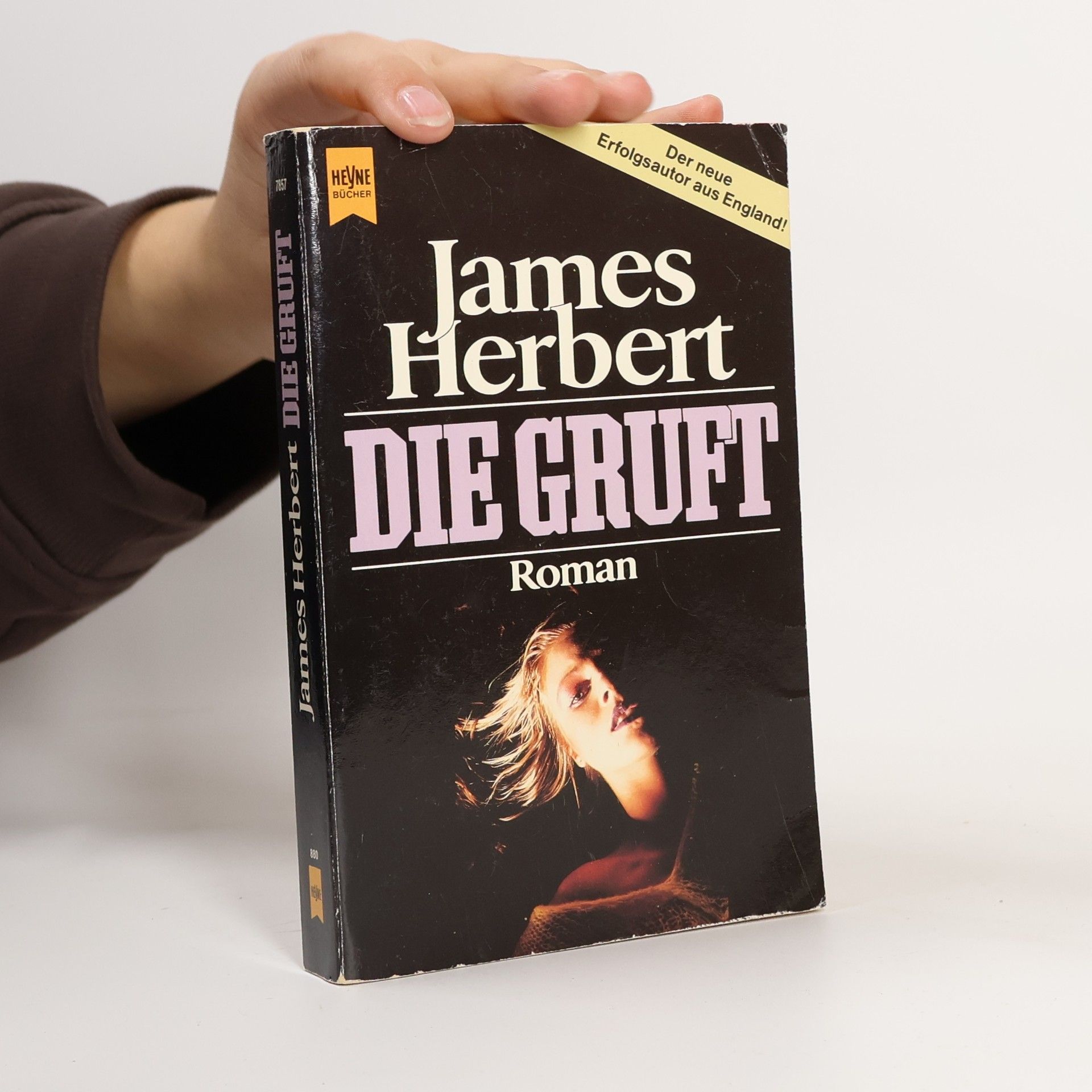 James Herbert Die Gruft