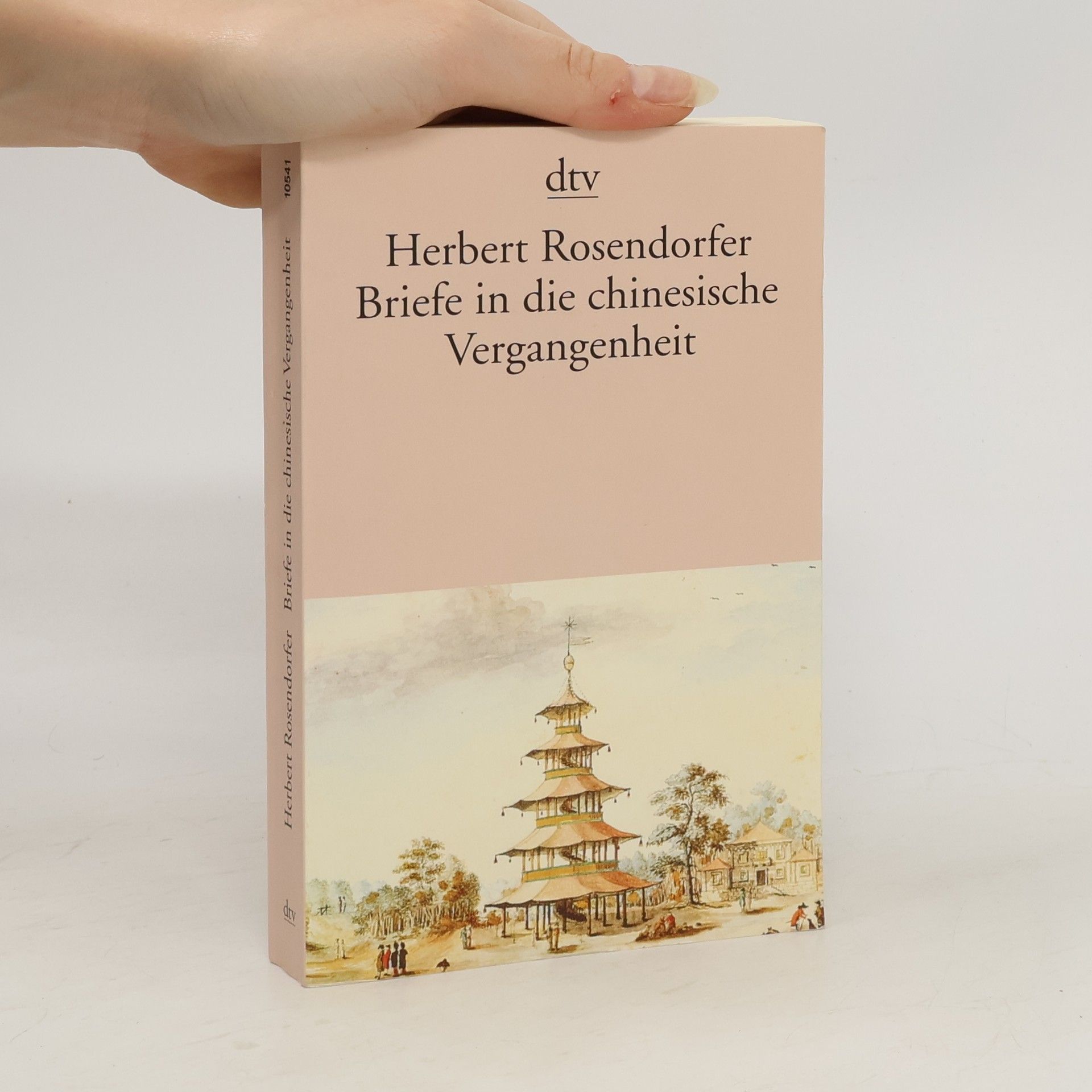 Herbert Rosendorfer Briefe in die chinesische Vergangenheit