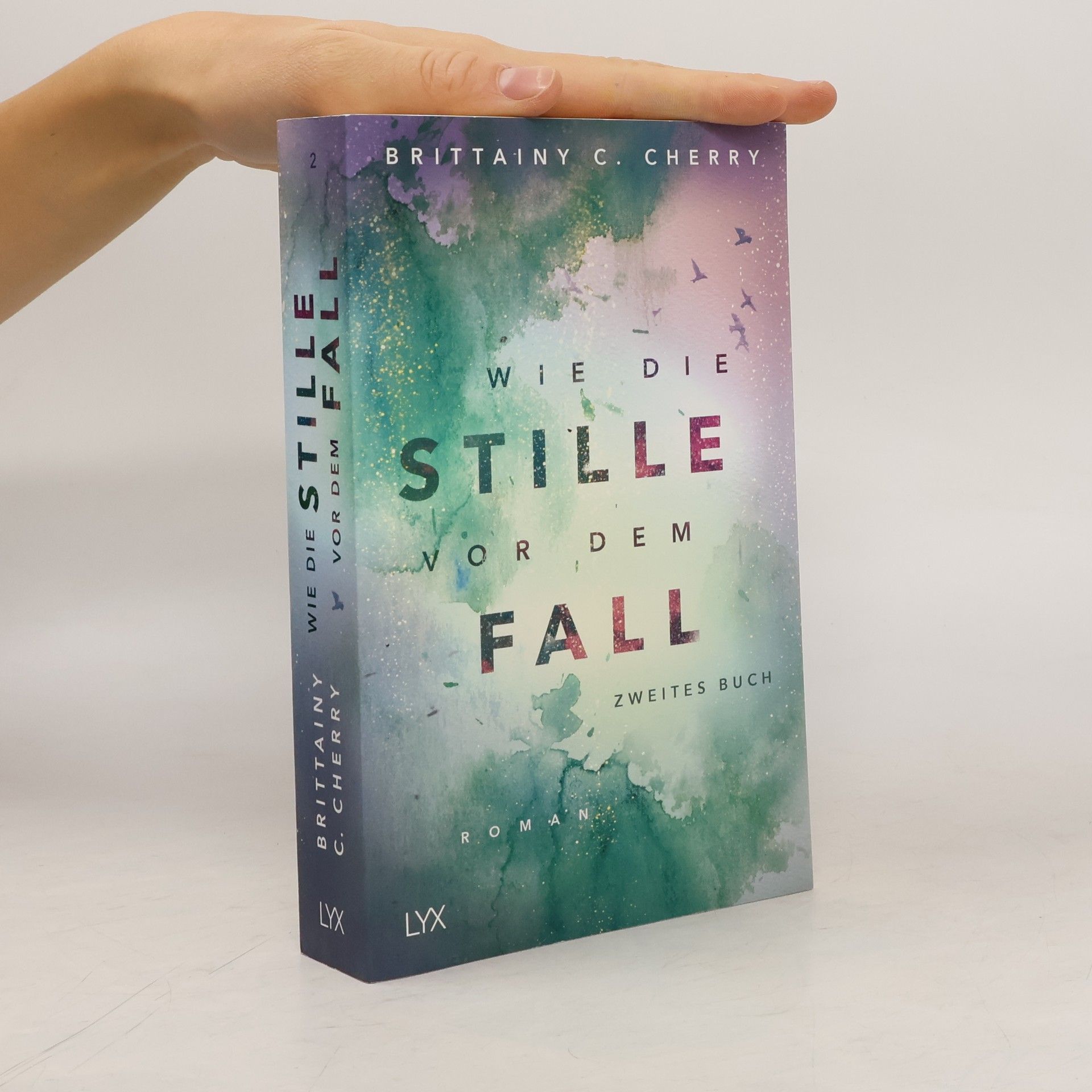 Brittainy C. Cherry Wie die Stille vor dem Fall 2