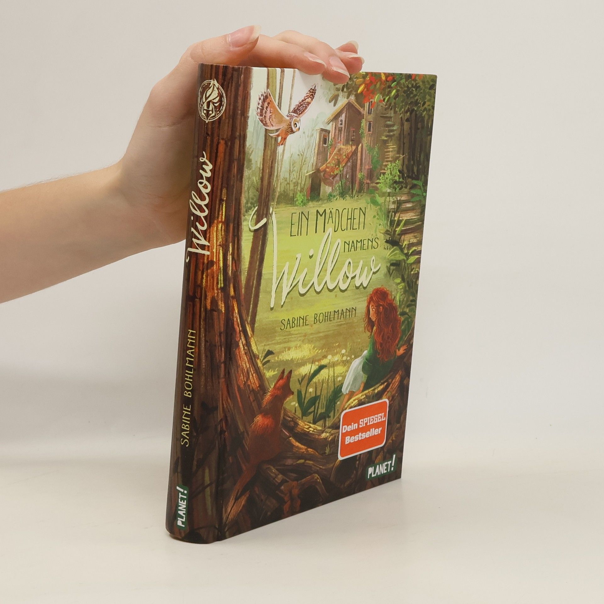 Sabine Bohlmann Ein Mädchen namens Willow
