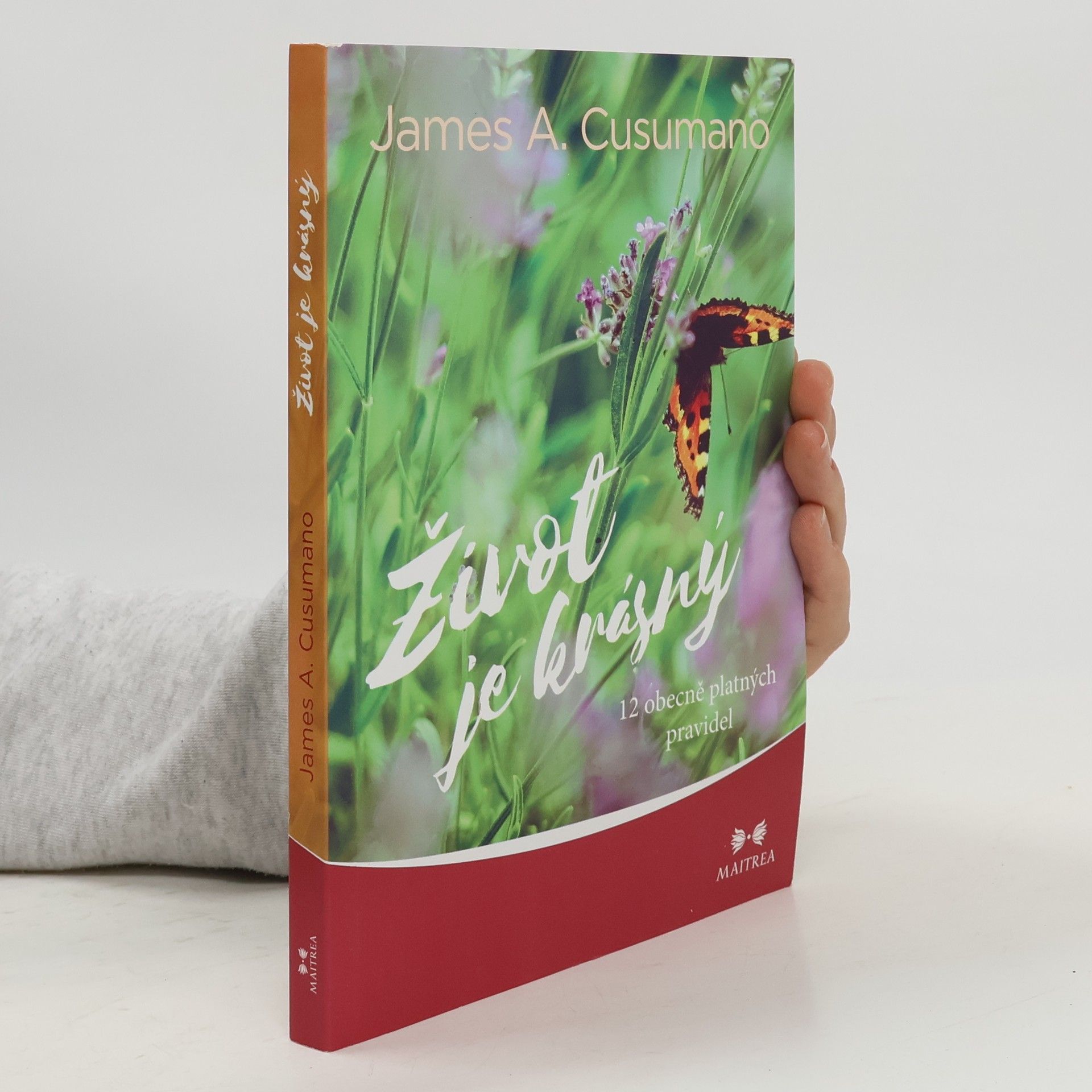 James A. Cusumano Život je krásný : 12 obecně platných pravidel