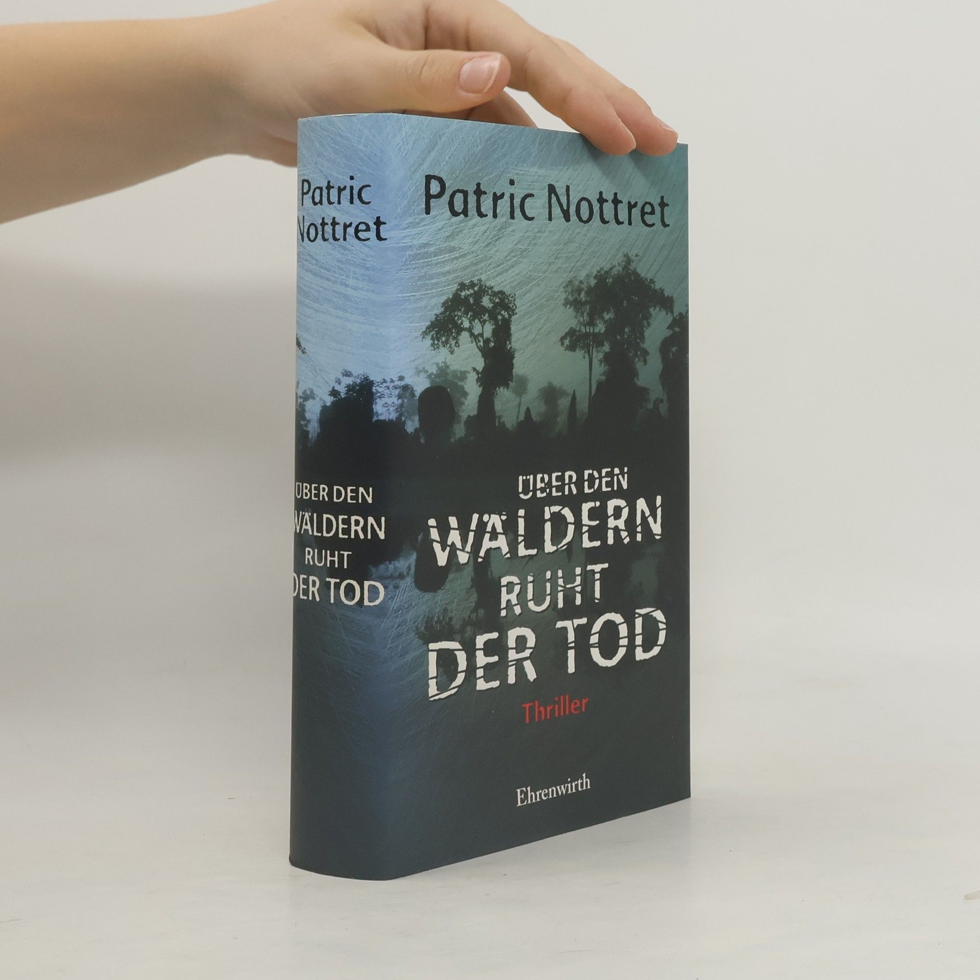 Patric Nottret Über den Wäldern ruht der Tod