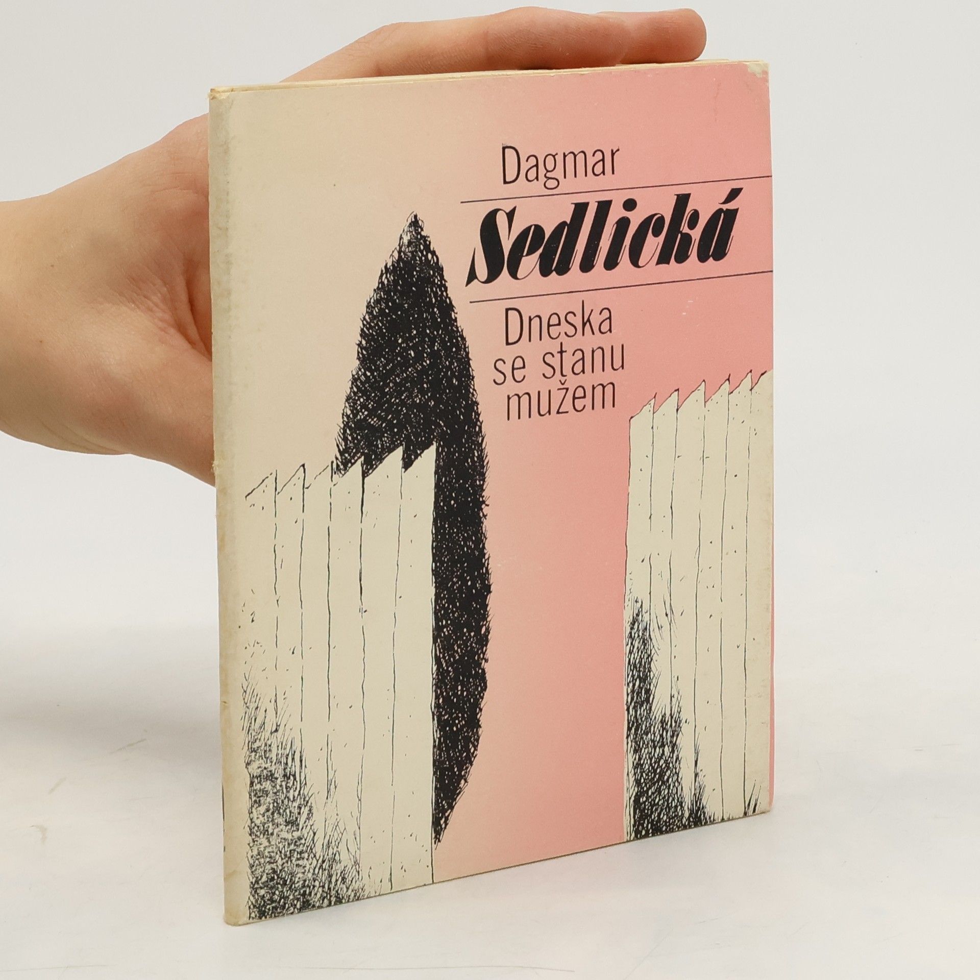 Sedlická Dagmar Dneska se stanu mužem