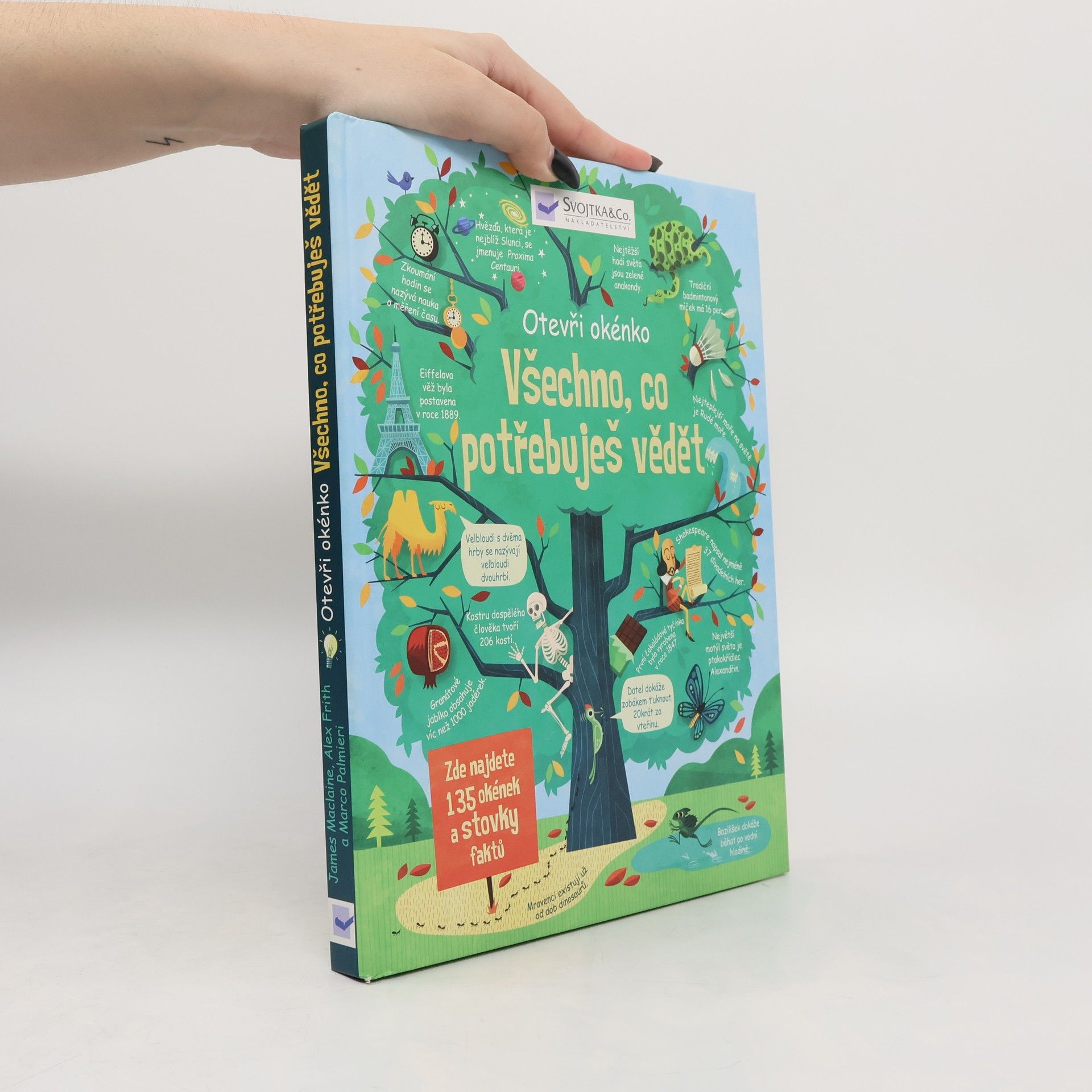 Všechno, co potřebuješ vědět