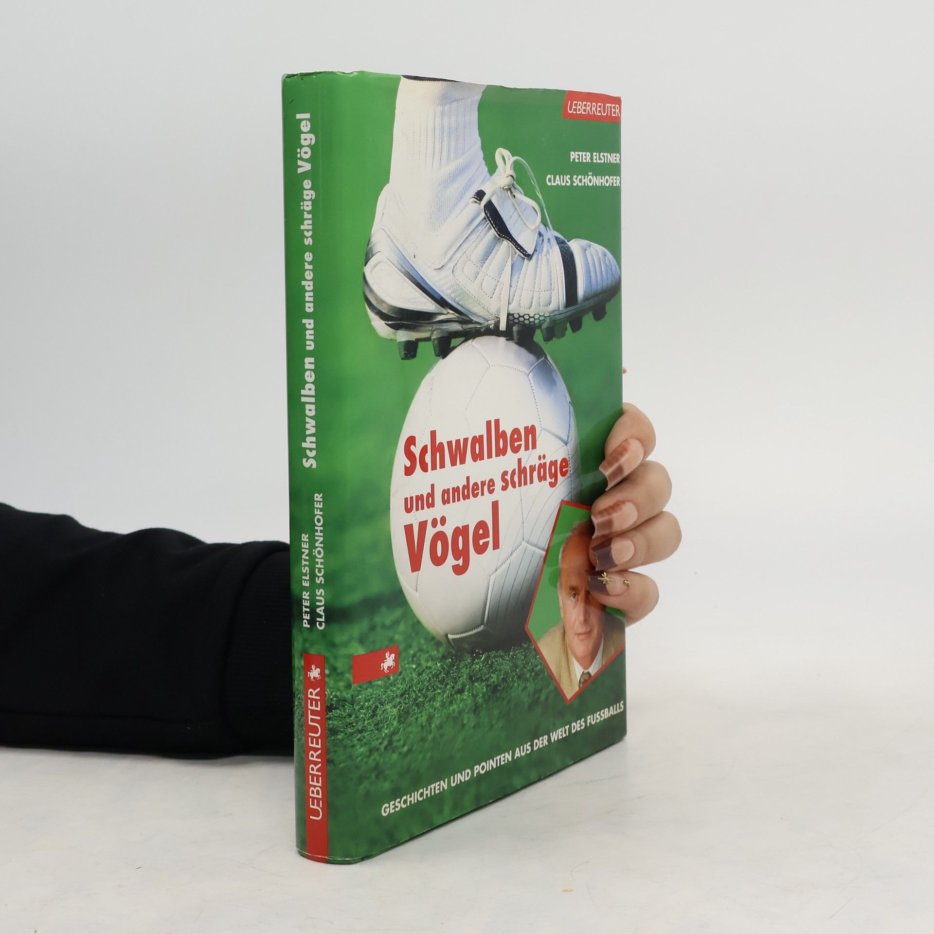 Schwalben und andere schräge Vögel