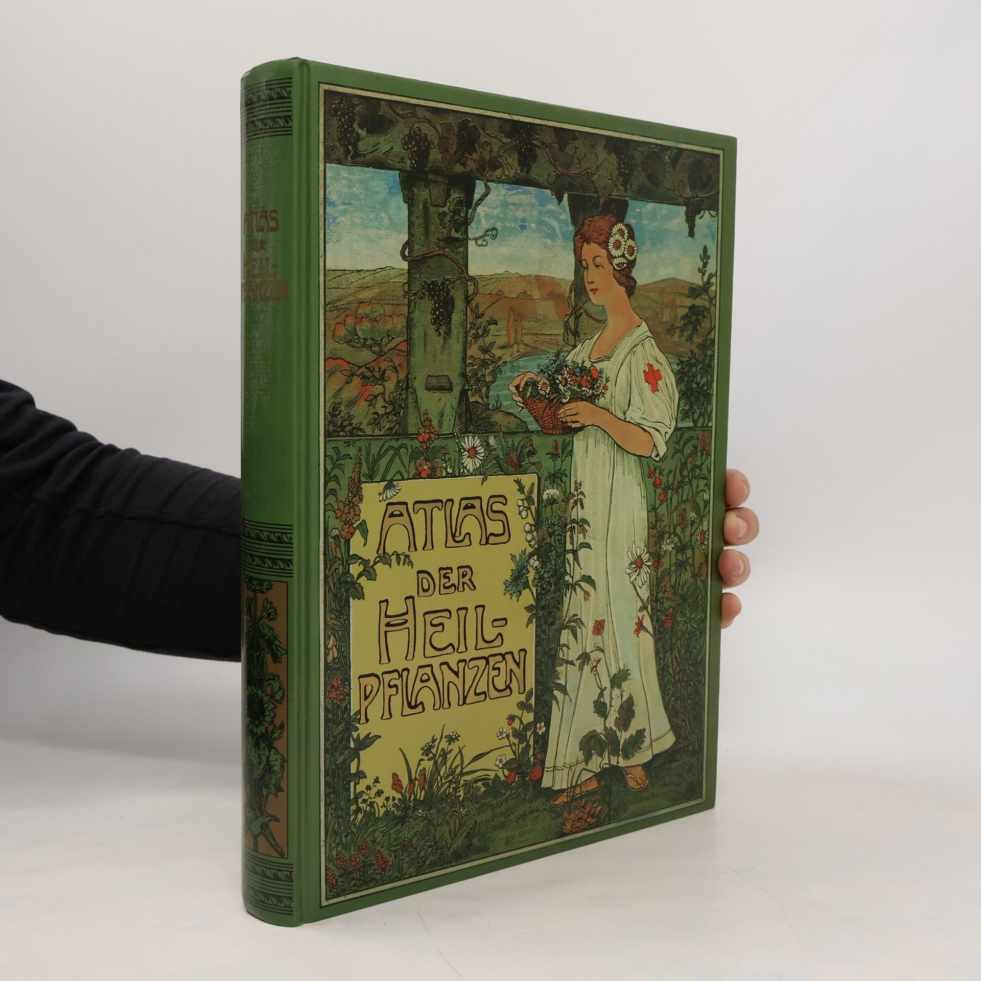 Atlas Der Heilpflanzen