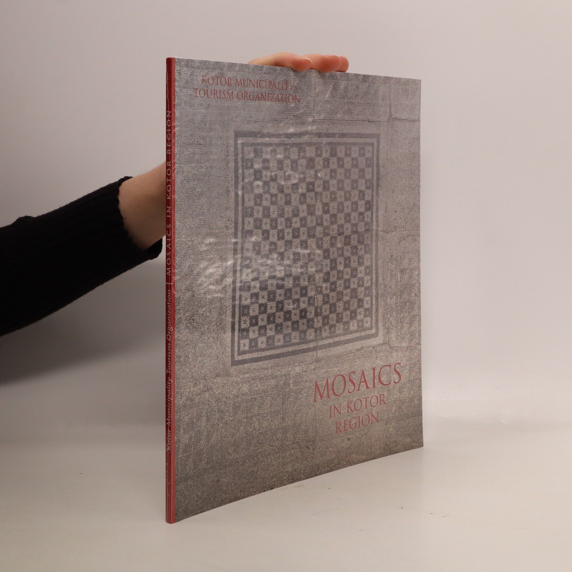 Kolektiv autorů Mosaics in Kotor region