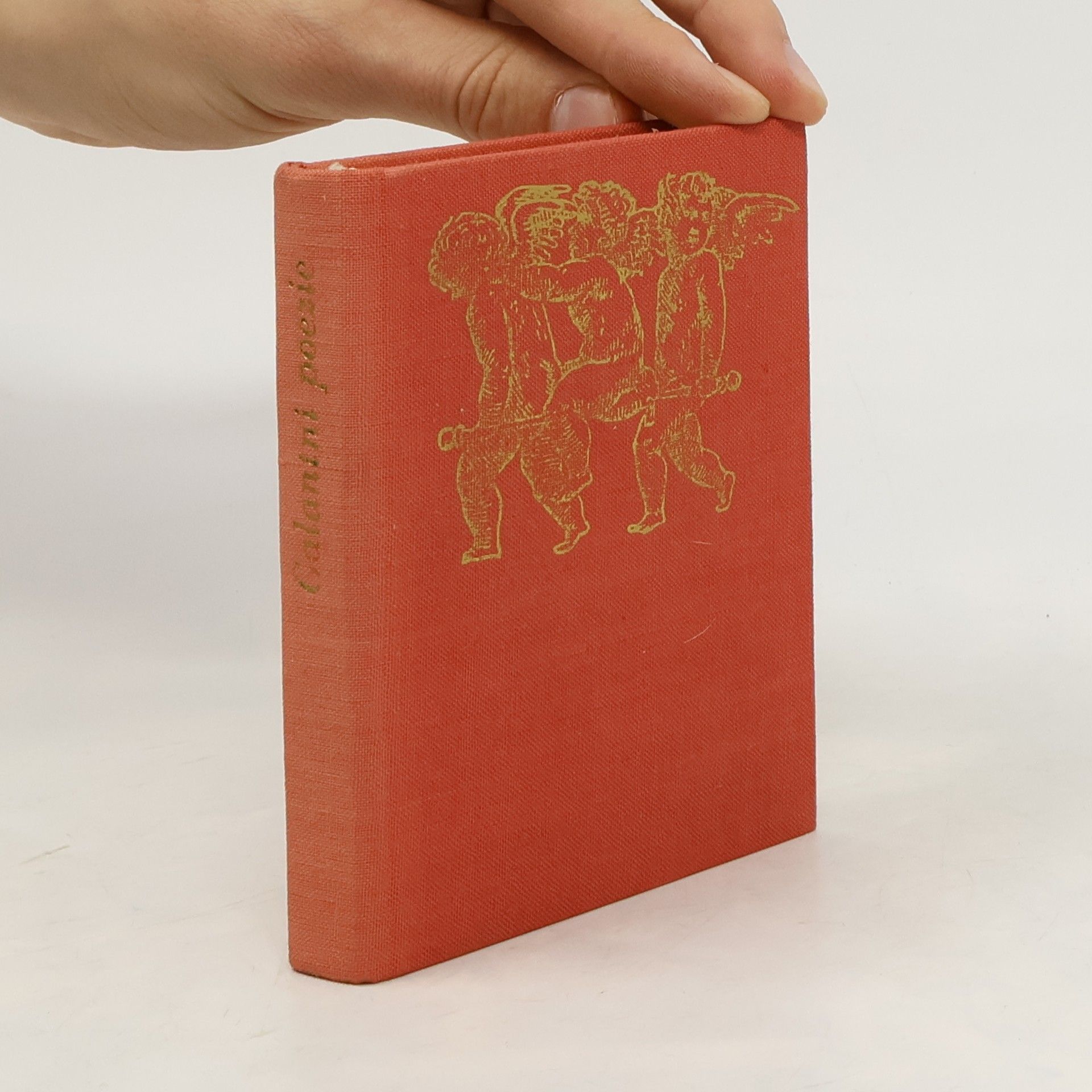 Kolektív autorov Galantní poezie