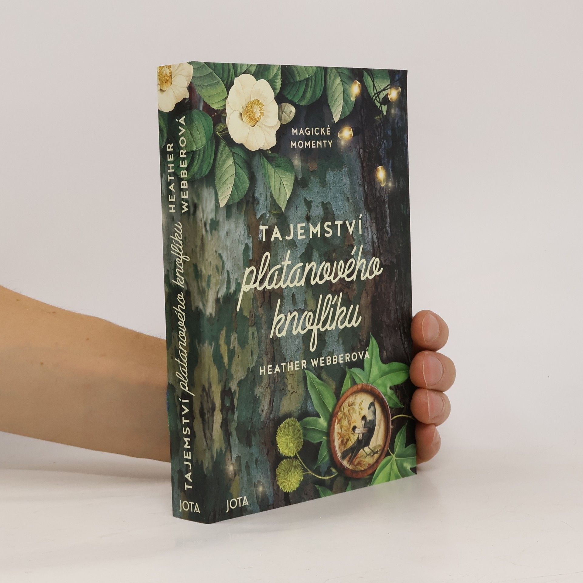 Heather Webber Tajemství platanového knoflíku