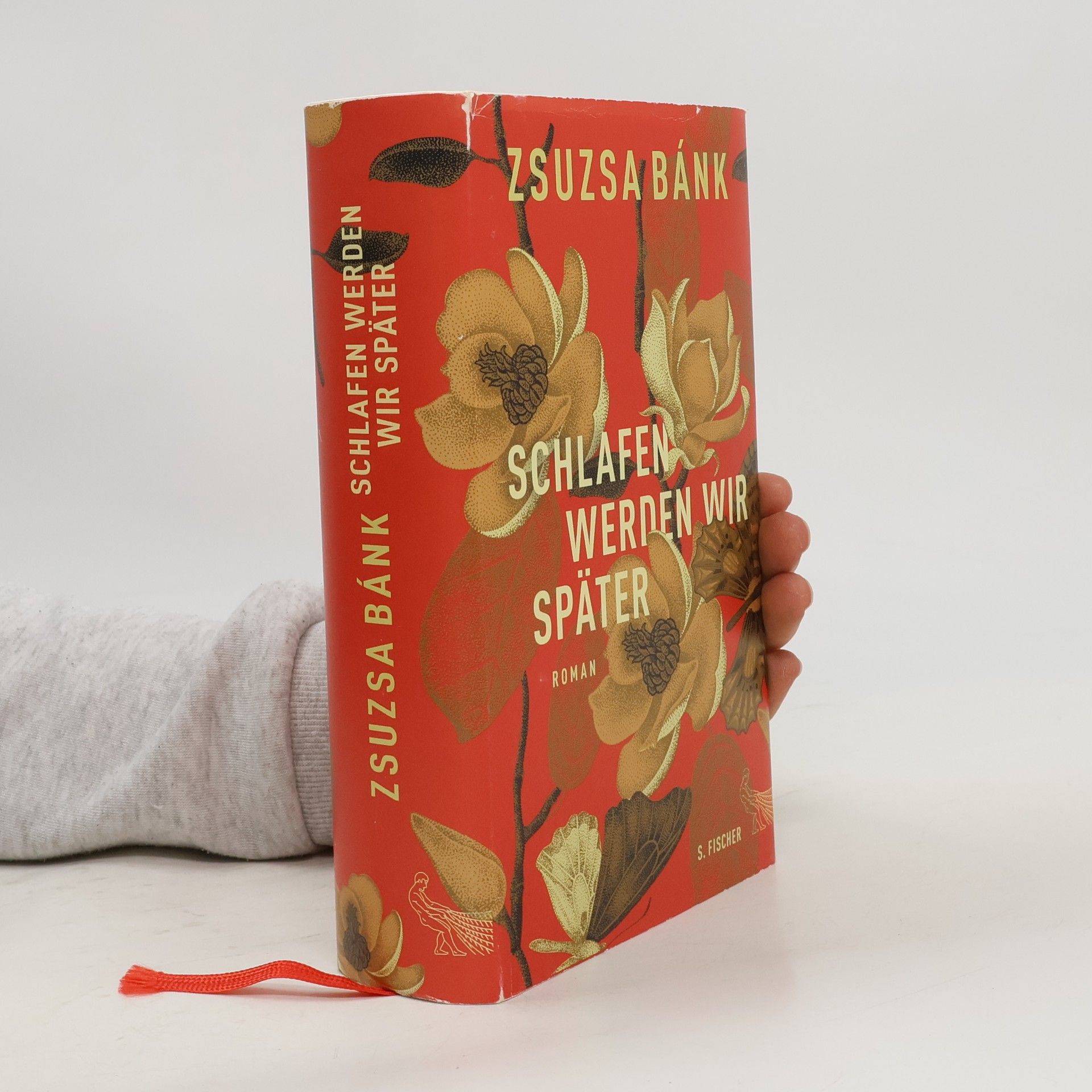 Zsuzsa Bánk Schlafen werden wir später