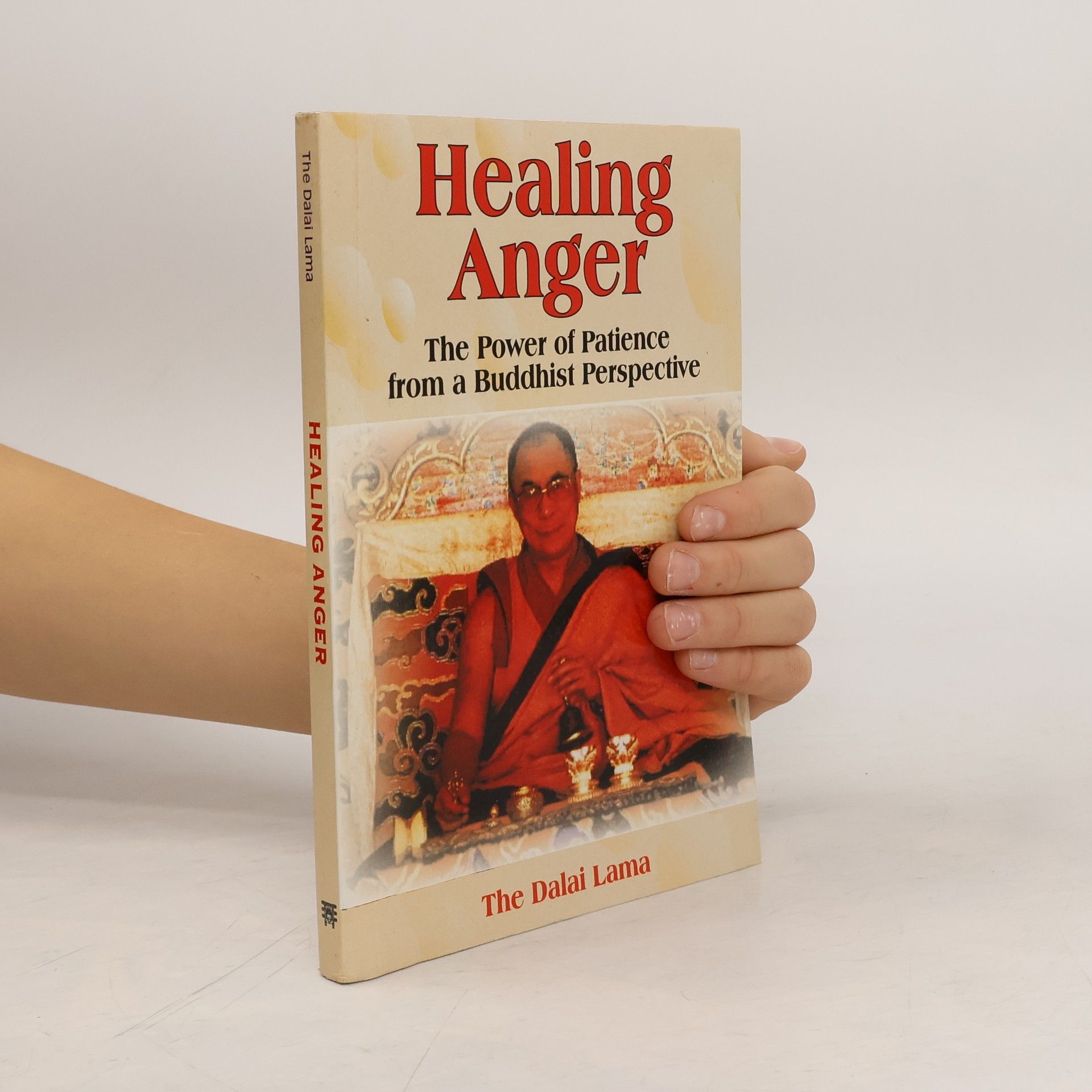 Kolektiv autorů Healing Anger