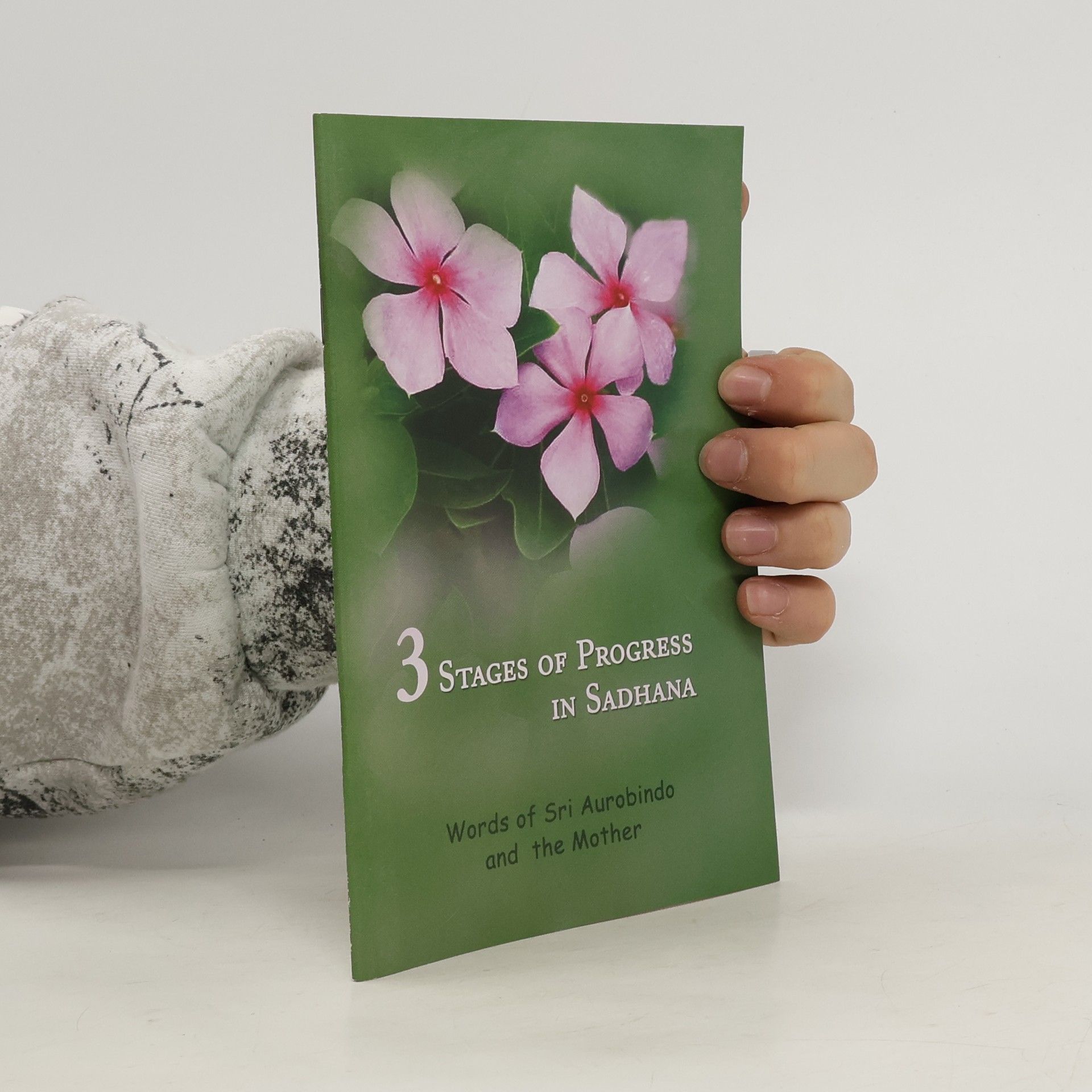 3 Stages of Progress in Sadhana