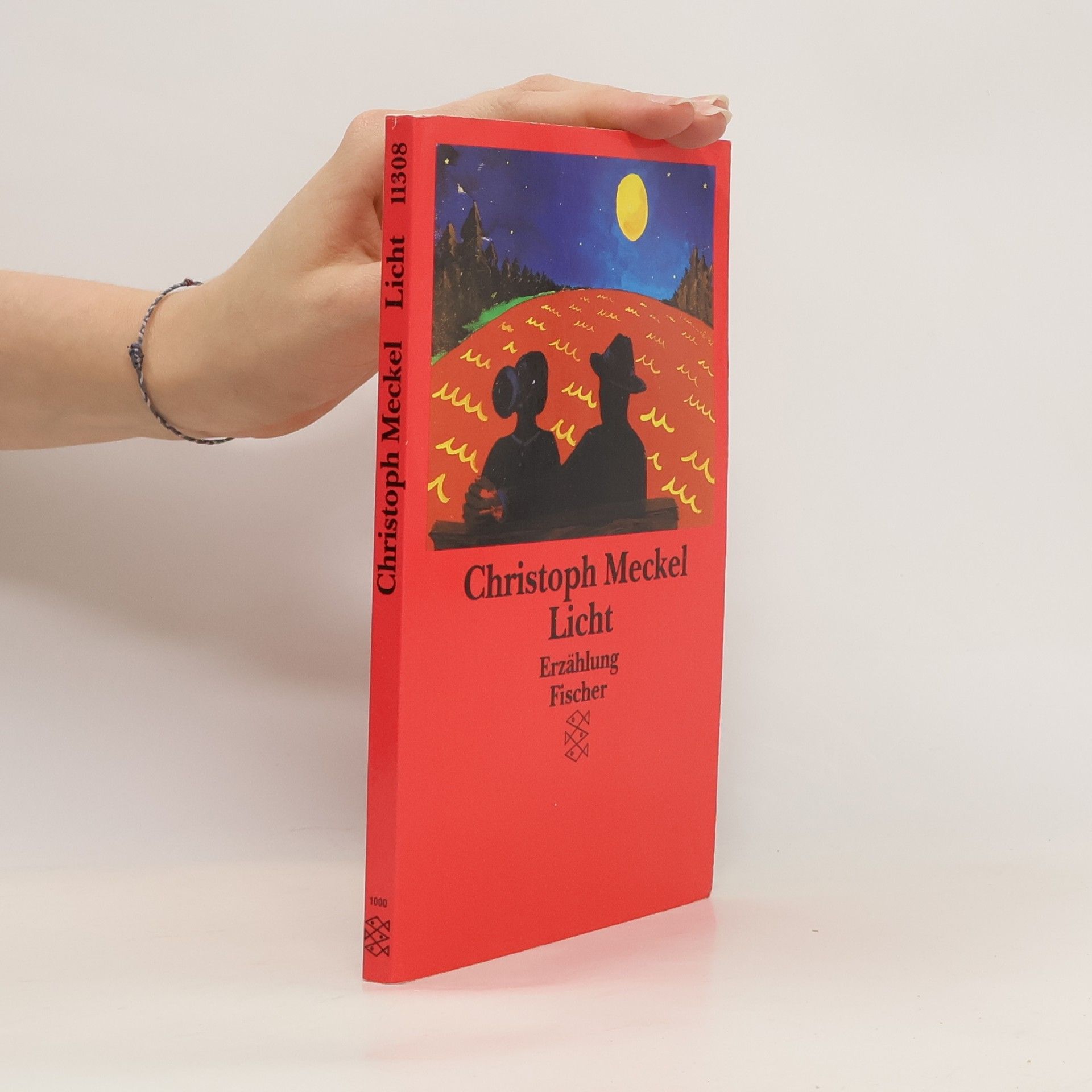 Christoph Meckel Licht