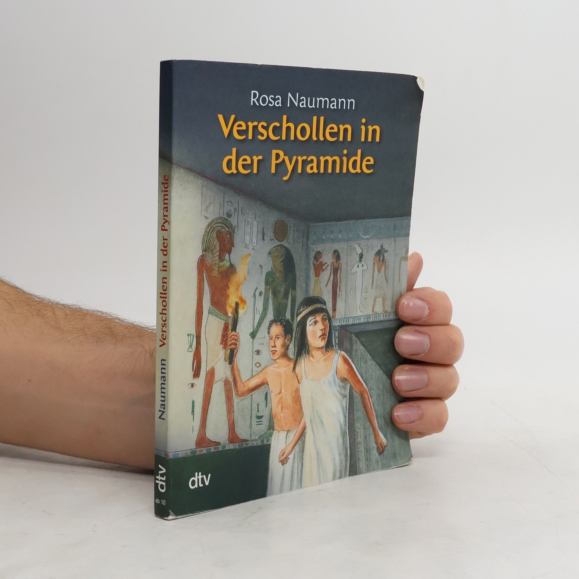 Rosa Naumann Verschollen in der Pyramide