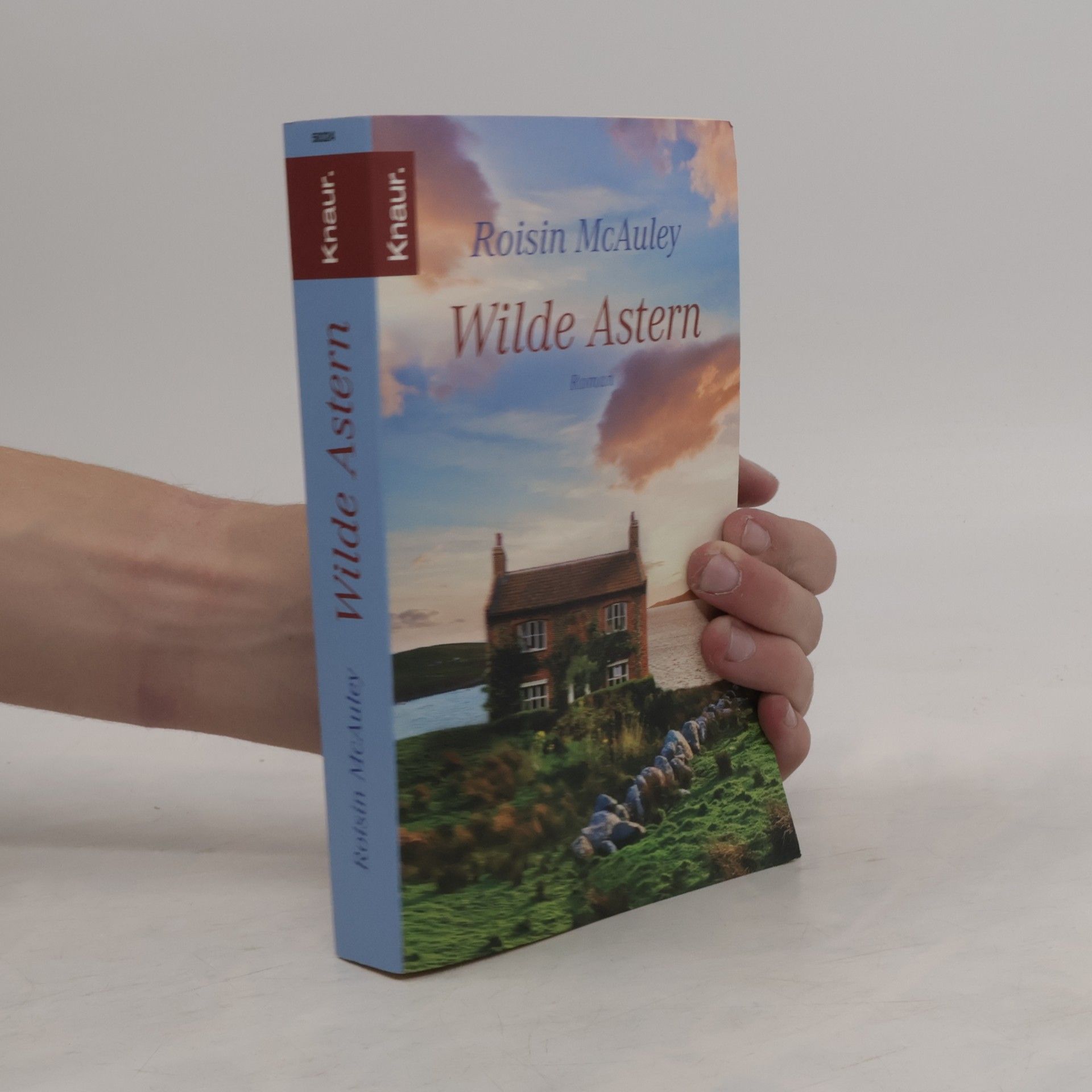 Roisin McAuley Wilde Astern