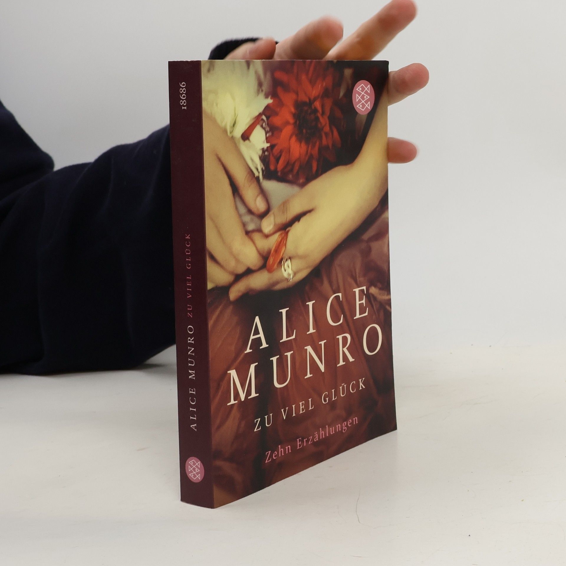 Alice Munro Zu viel Glück. zehn erzählungen