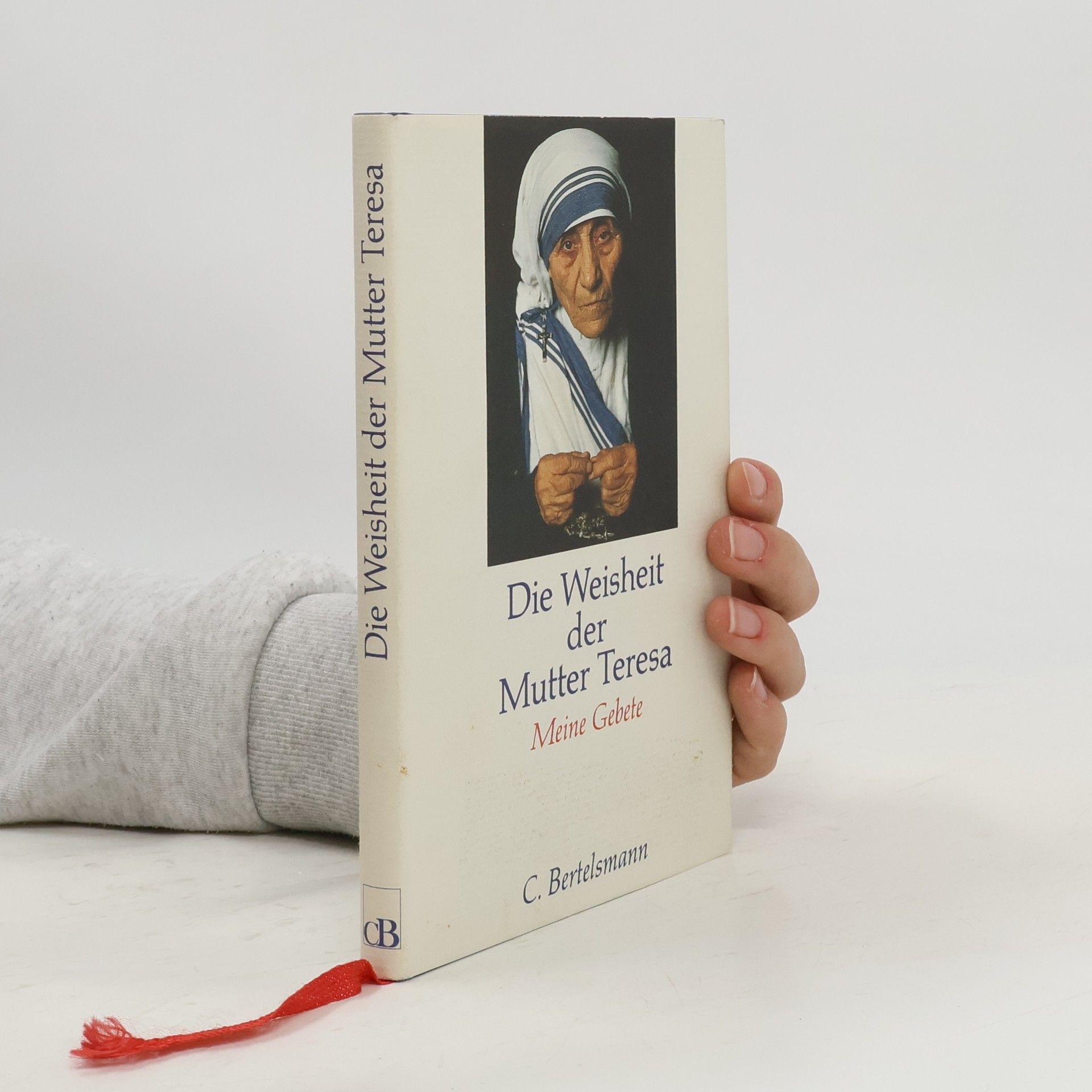 Navin Chawla Die Weisheit der Mutter Teresa