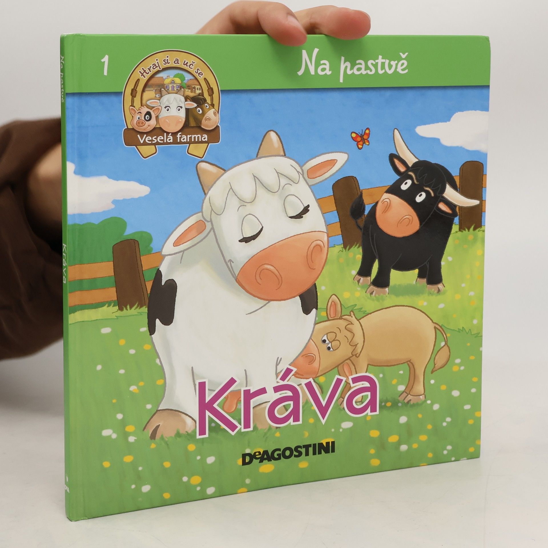 Kráva, tele, býk a vůl