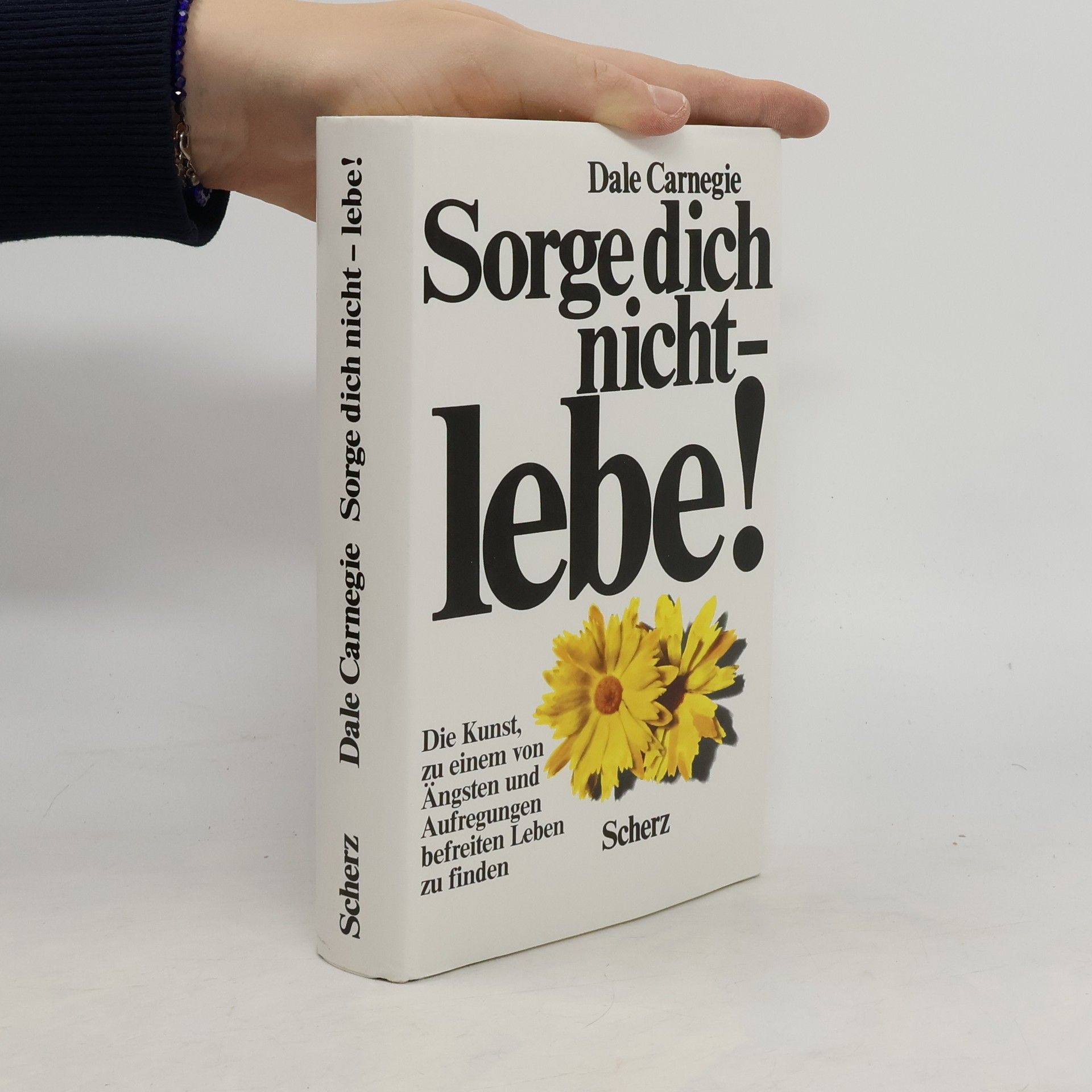 Dale Carnegie Sorge dich nicht - lebe!