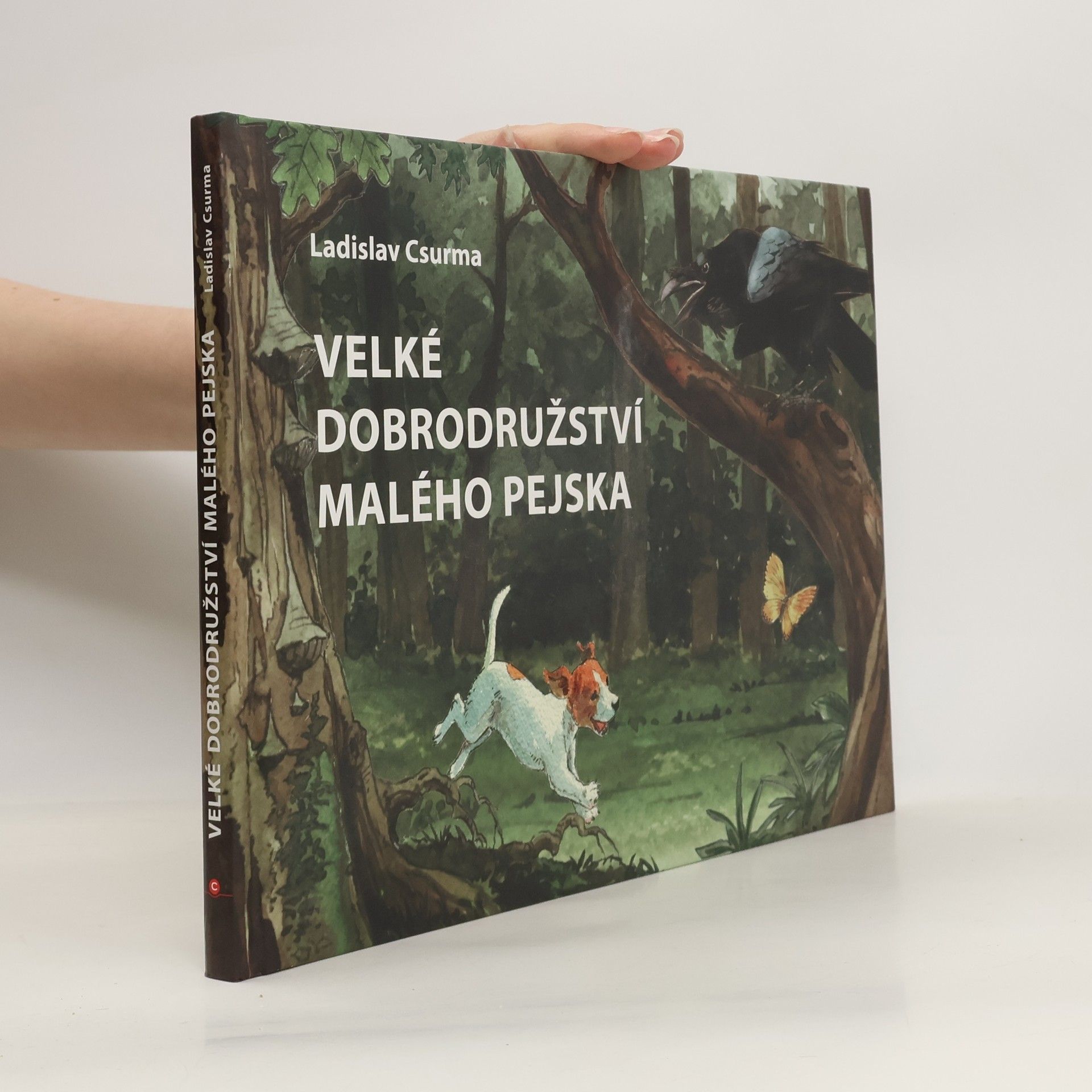 Ladislav Csurma Velké dobrodružství malého pejska