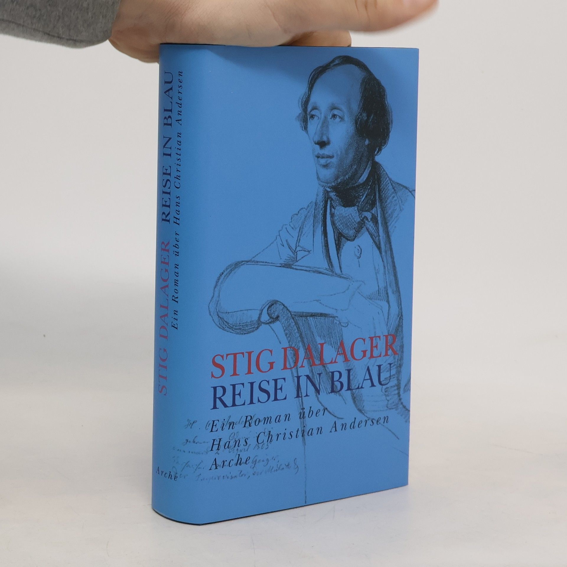 Stig Dalager Reise in Blau