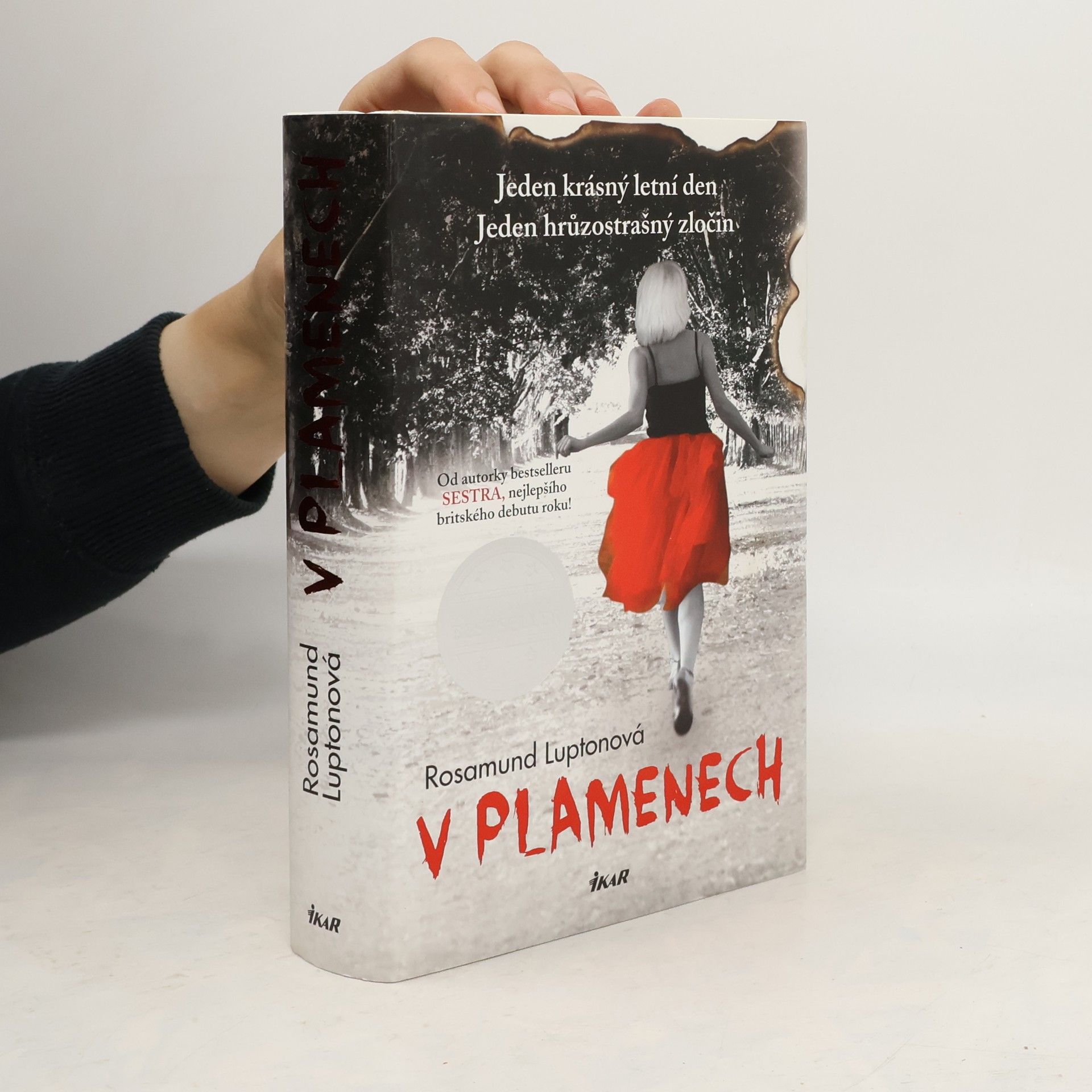 Rosamund Lupton V plamenech