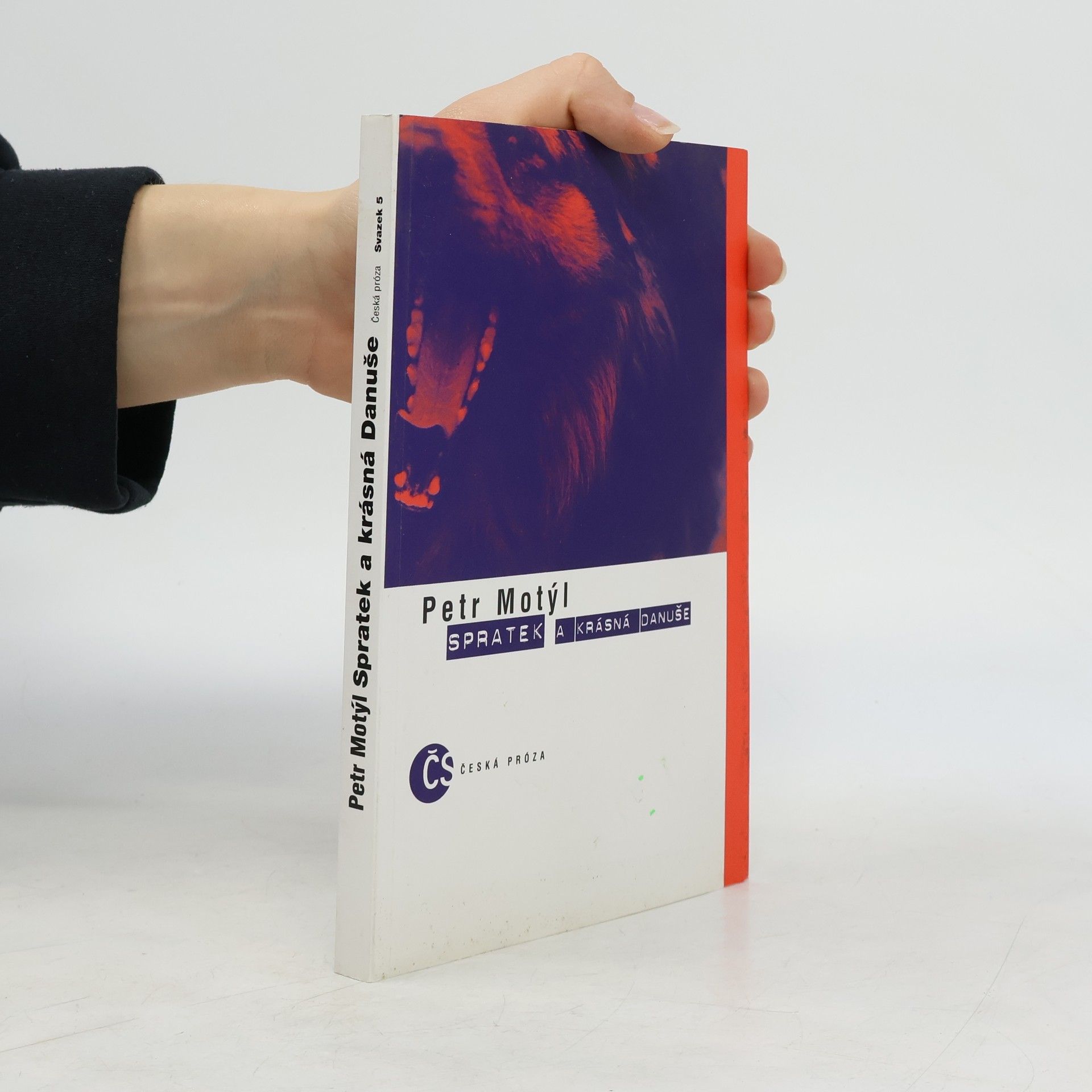 Petr Motýl Spratek a krásná Danuše