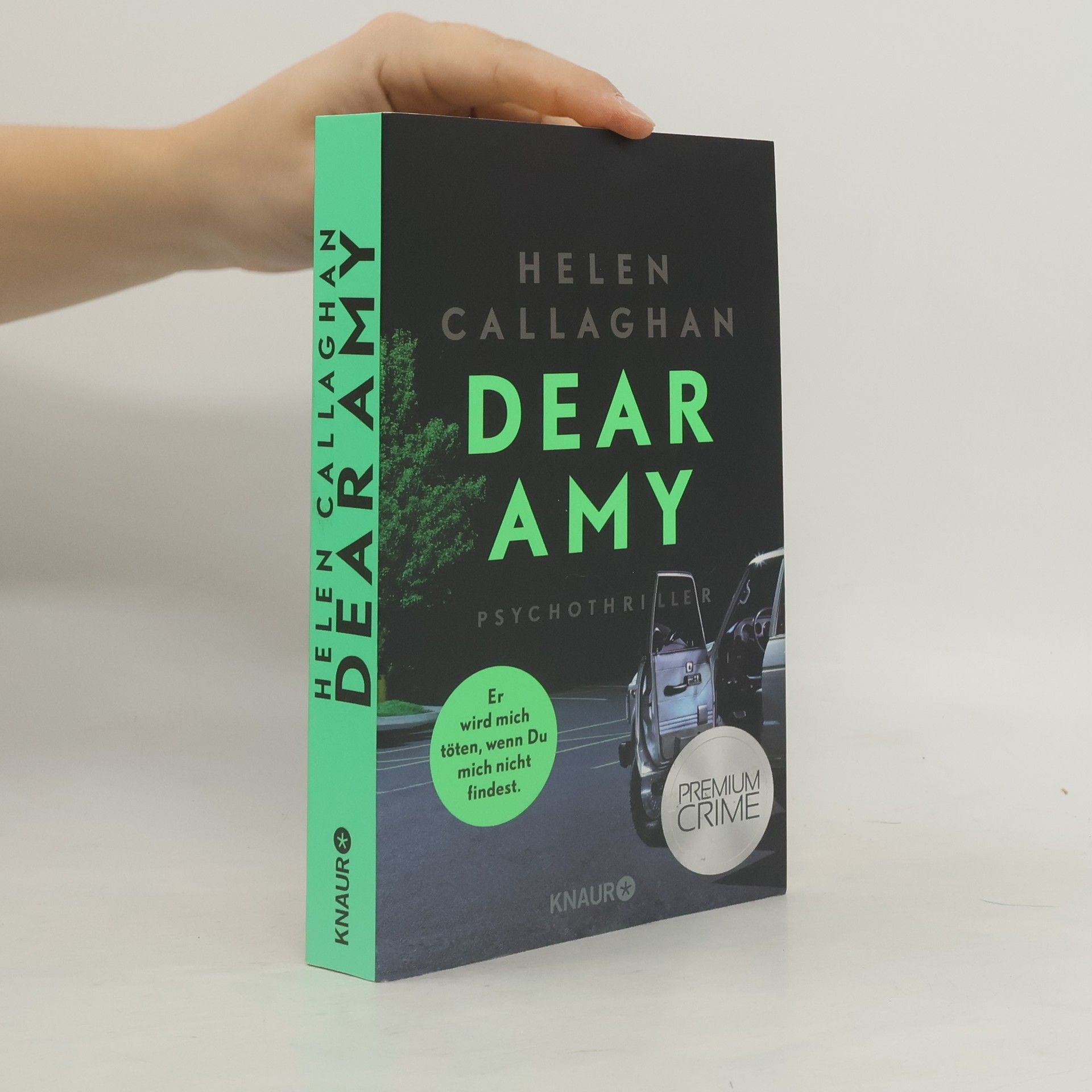 Helen Callaghan Dear Amy