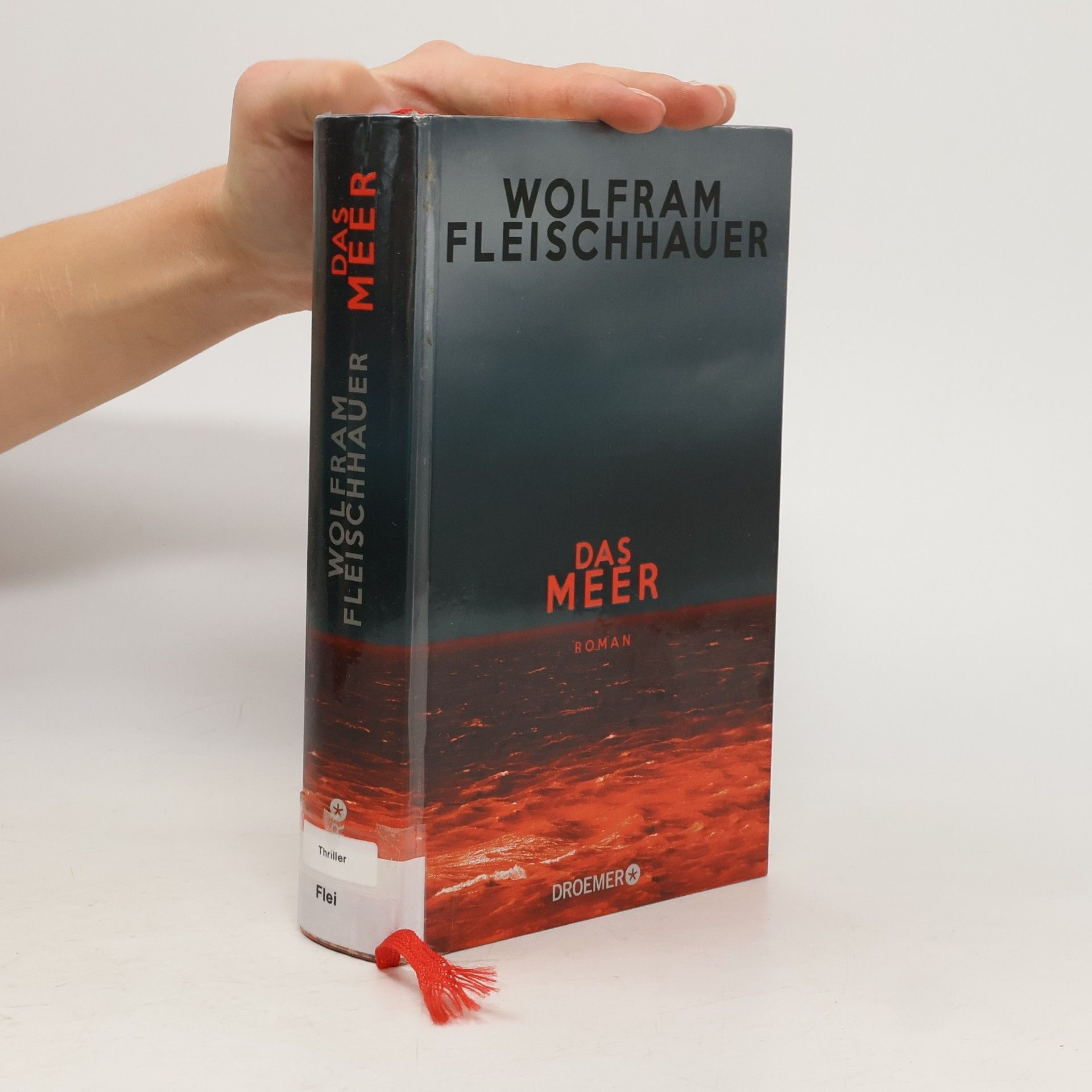 Wolfram Fleischhauer Das Meer