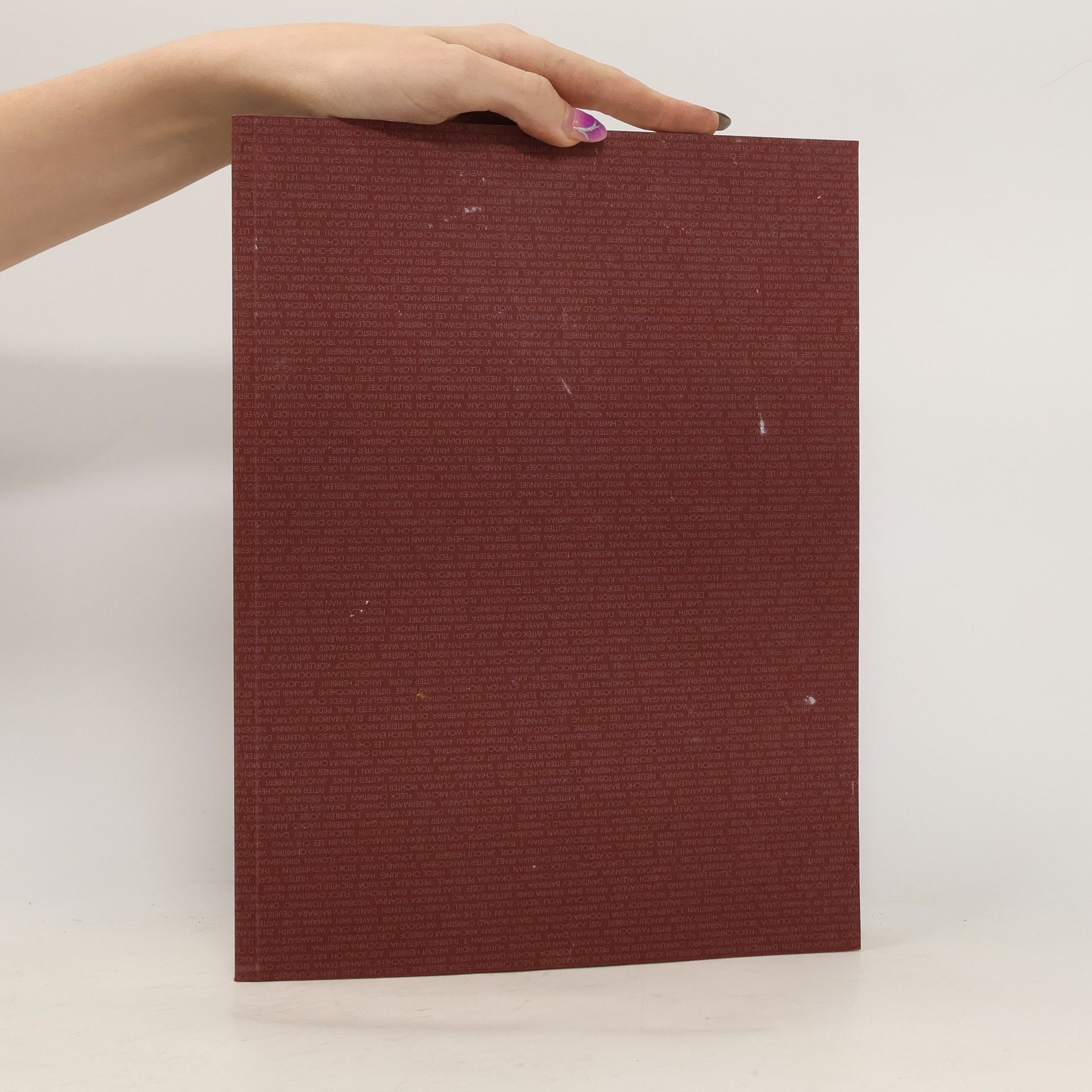 Autorenkollektiv Die Meisterklasse für Maleirei Wolfgang Hutter : Arbeiten von 33 Studierenden der Meisterklasse von o. Prof. Wolfgang Hutter und seinen Mitarbeitern : Dezember 1996