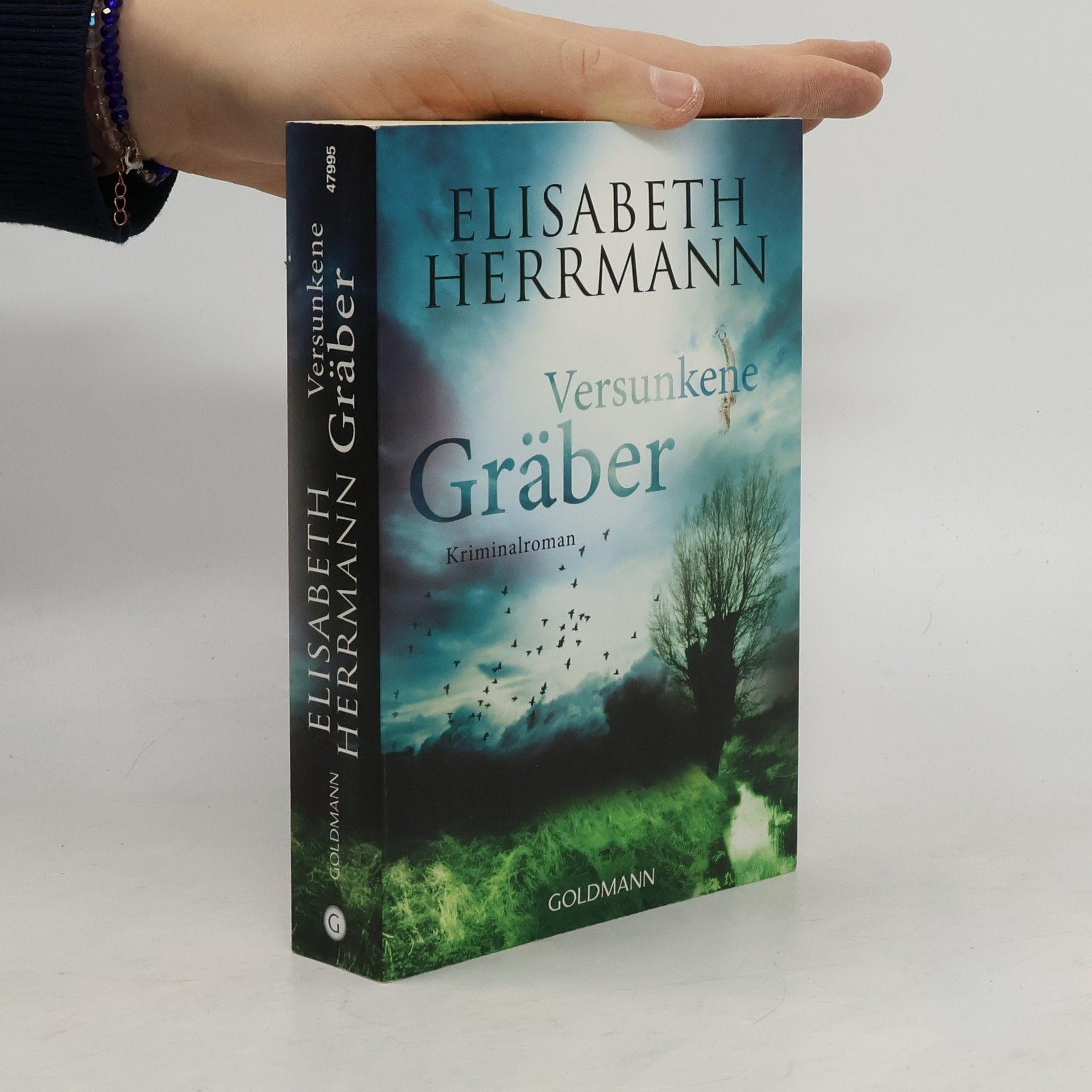 Elisabeth Hermann Versunkene Gräber