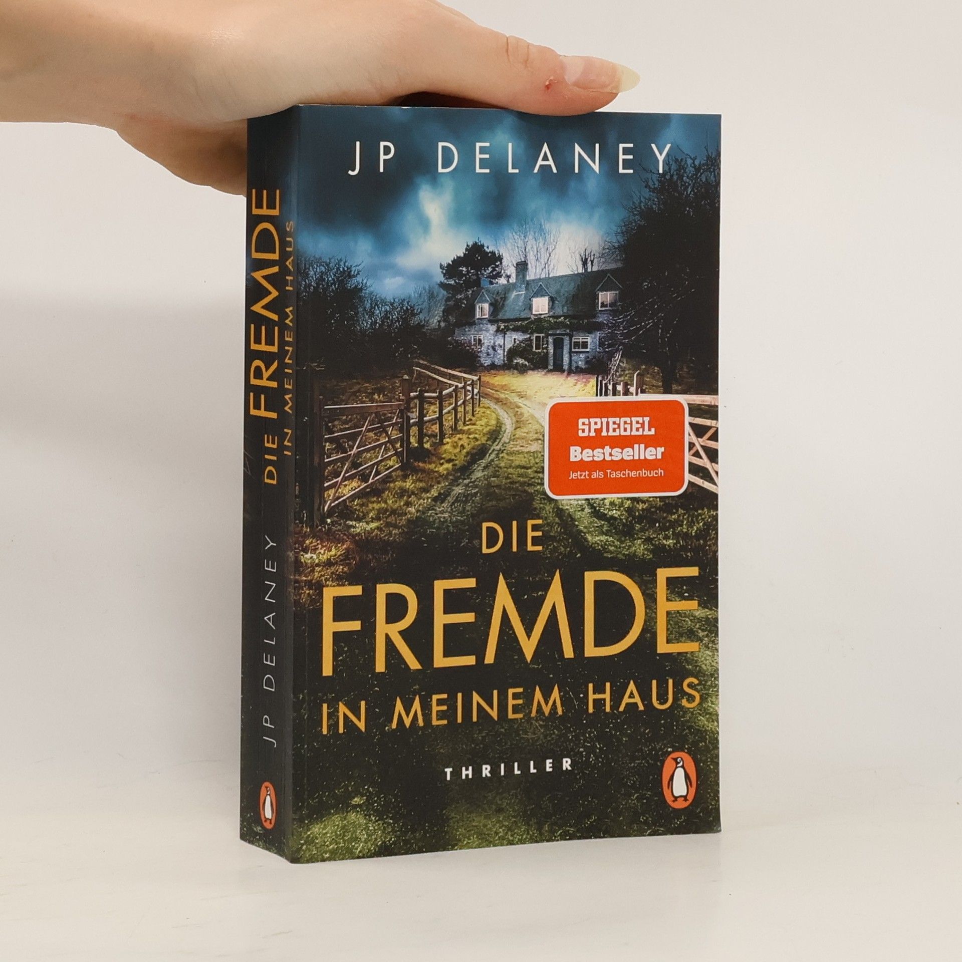 Die Fremde in meinem Haus