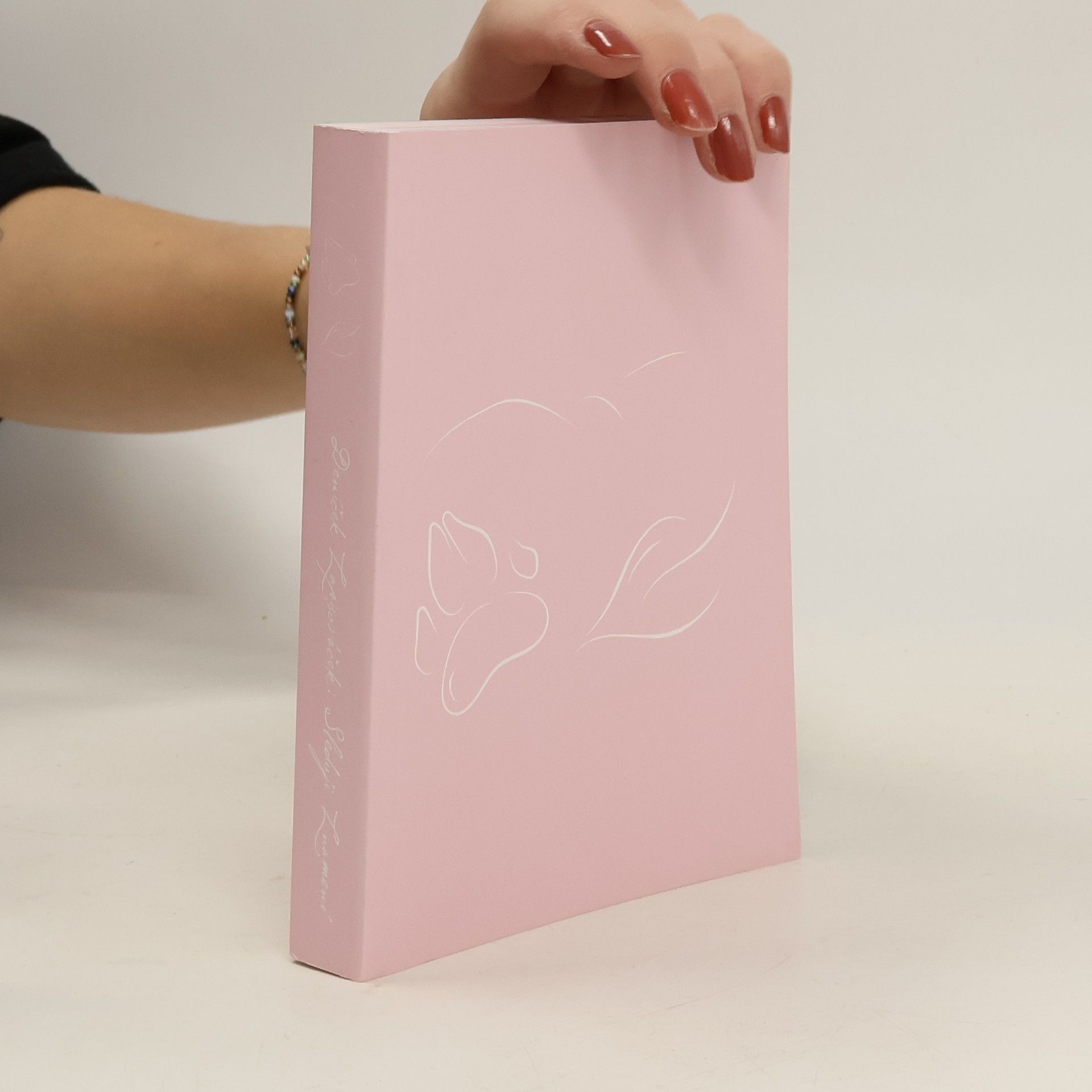 Meditační deníček