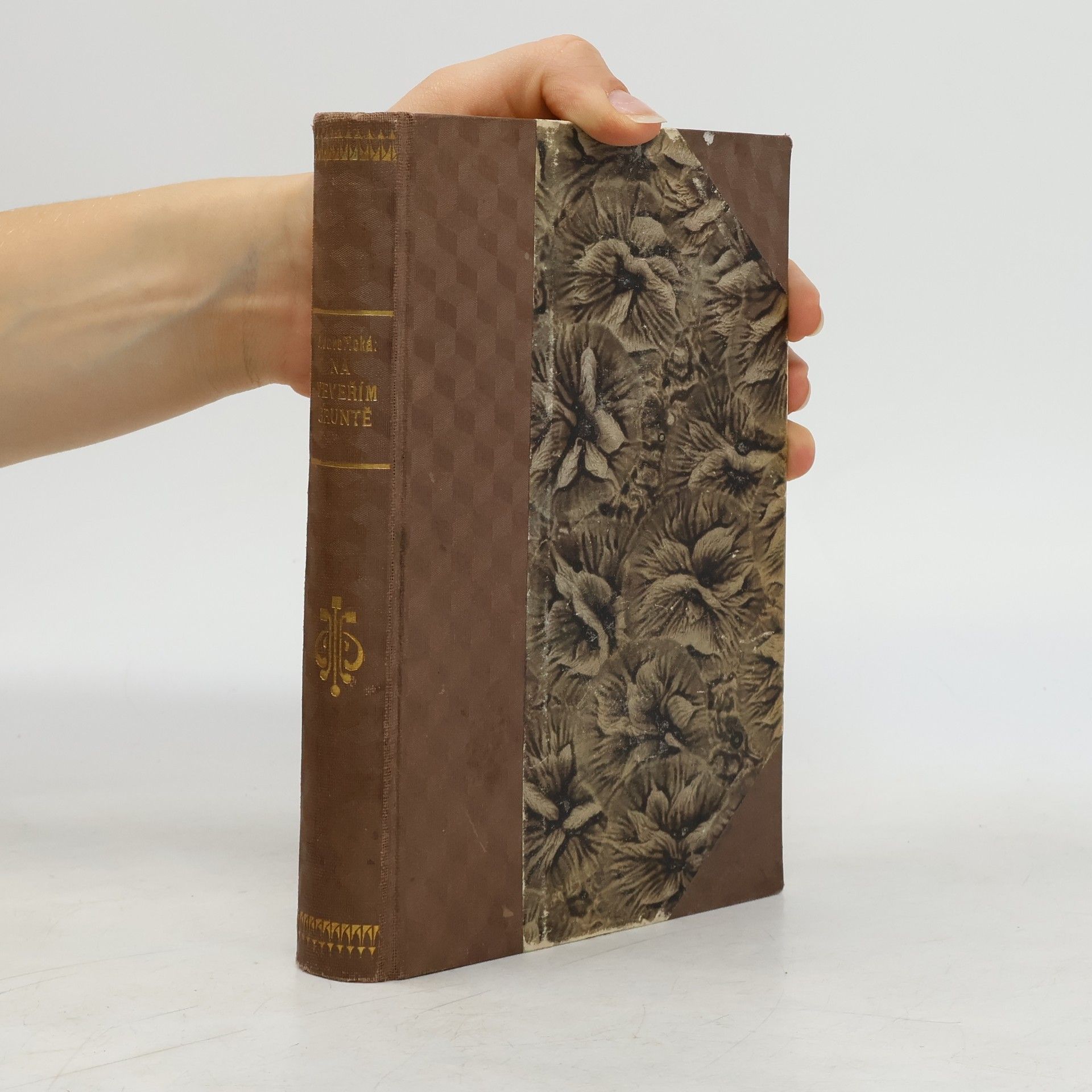 Vlasta Javořická Na Veveřím gruntě