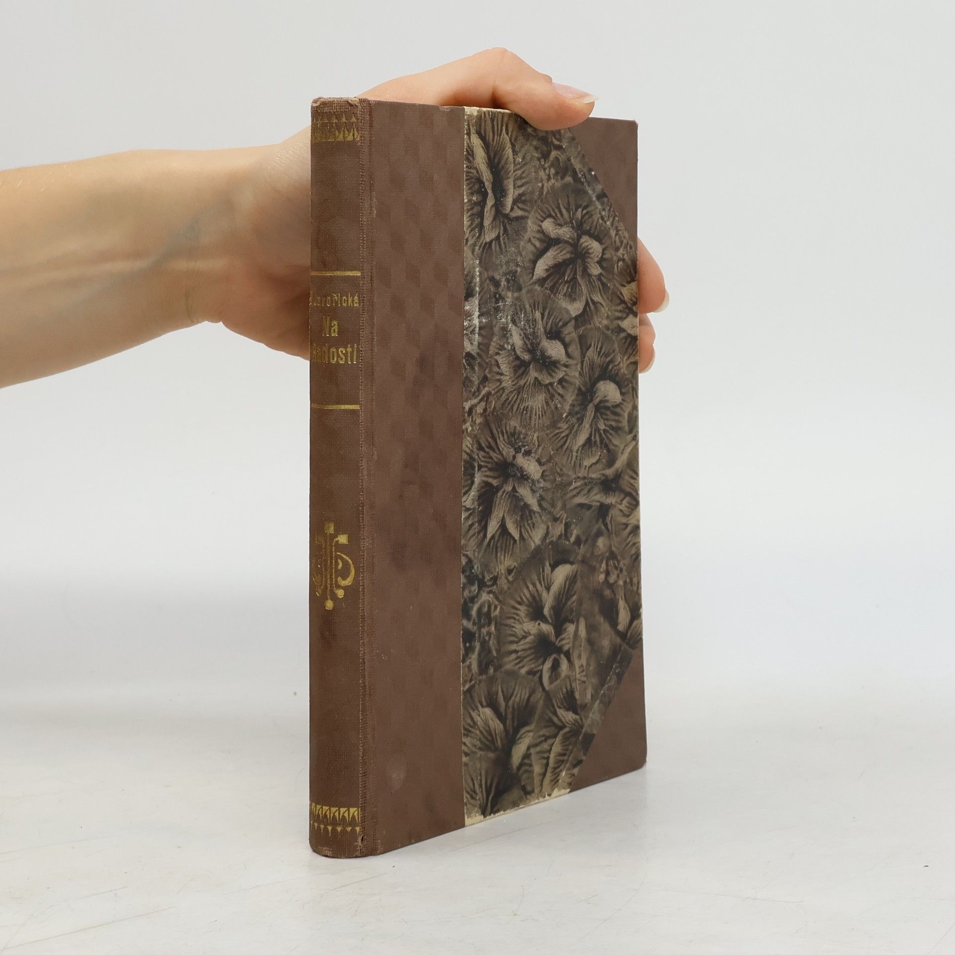 Vlasta Javořická Lidové povídky. Na radosti