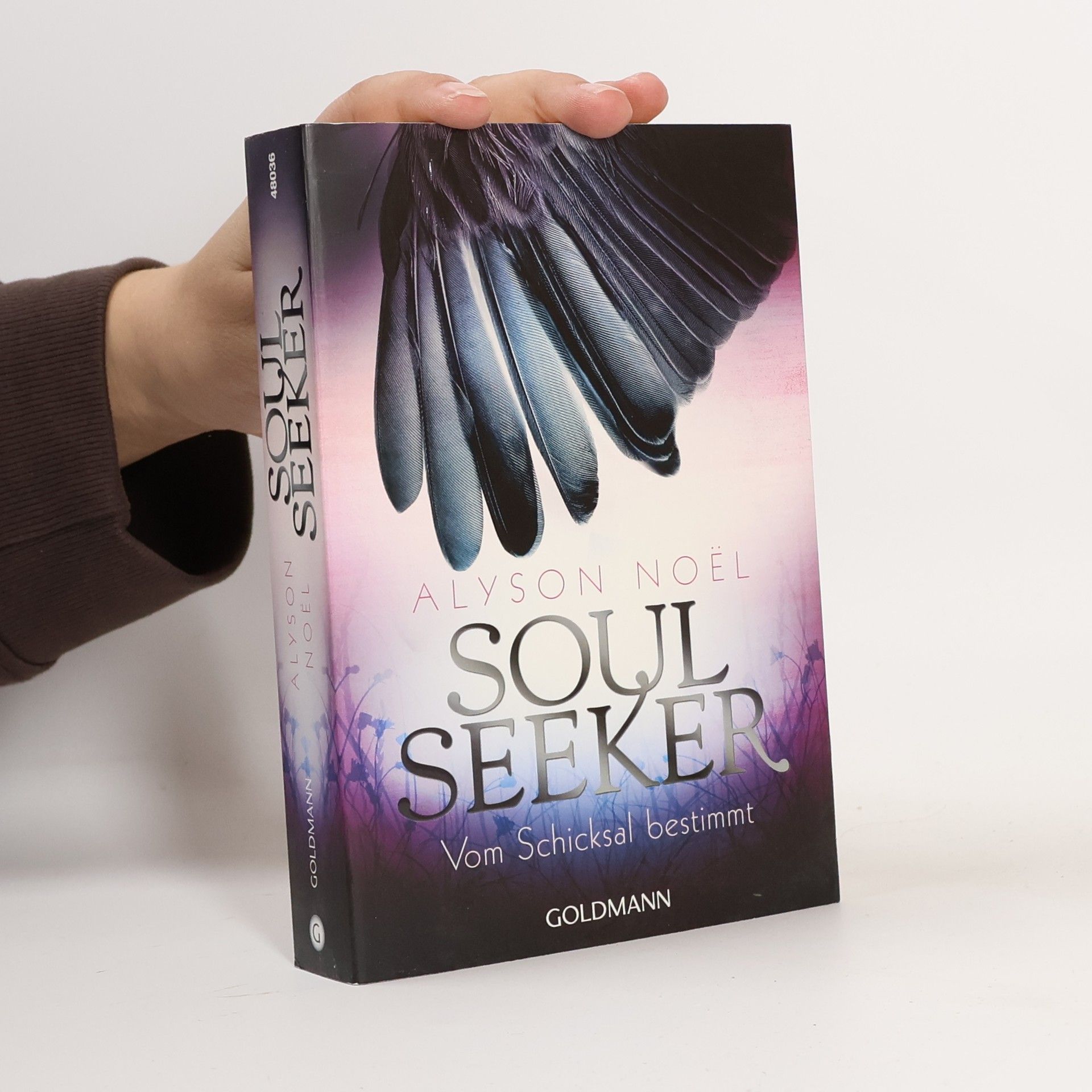 Soul Seeker : Vom Schicksal bestimmt